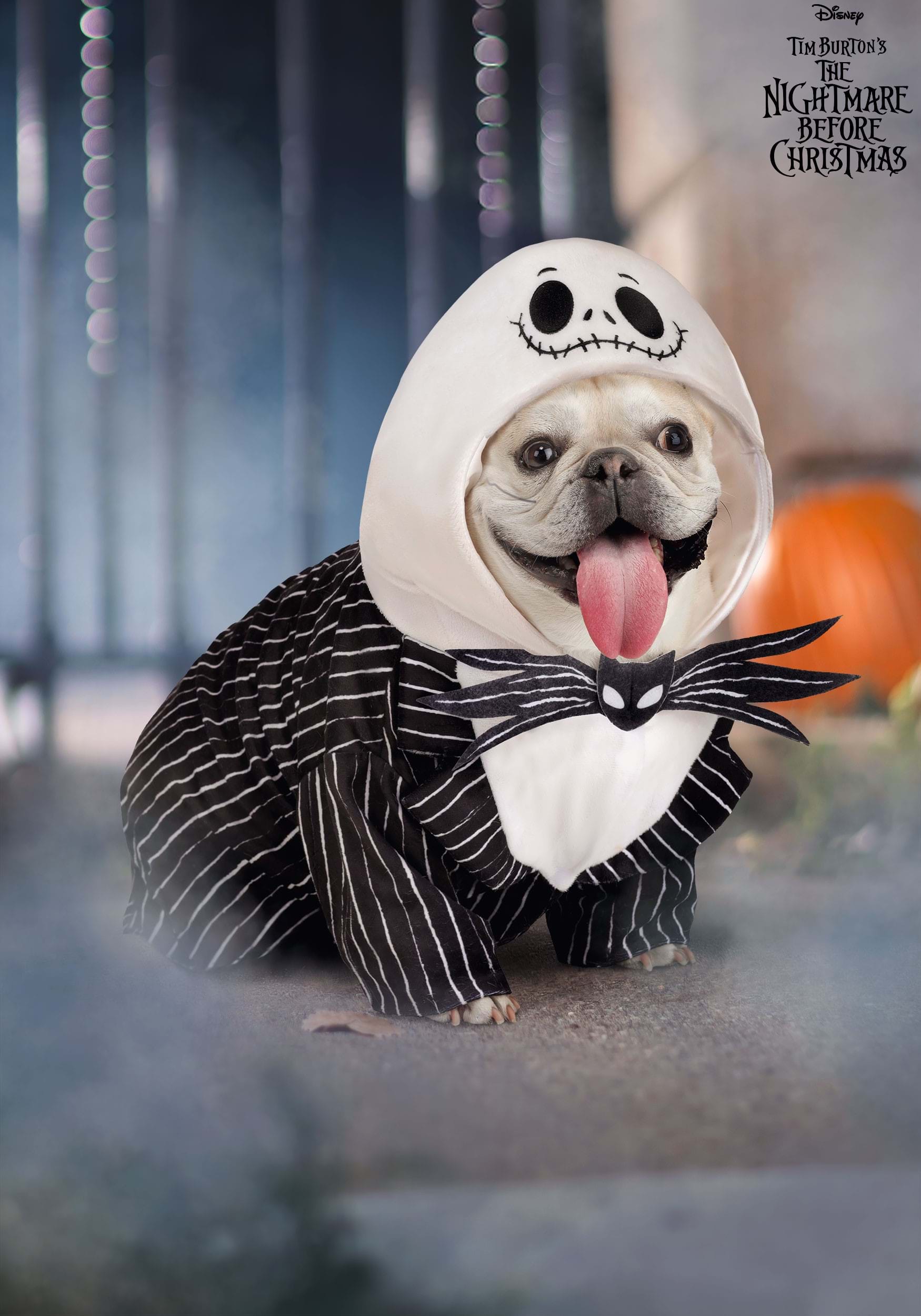 Disney Jack Skellington Pet Costume 1 Disney Jack Skellington Pet Costume