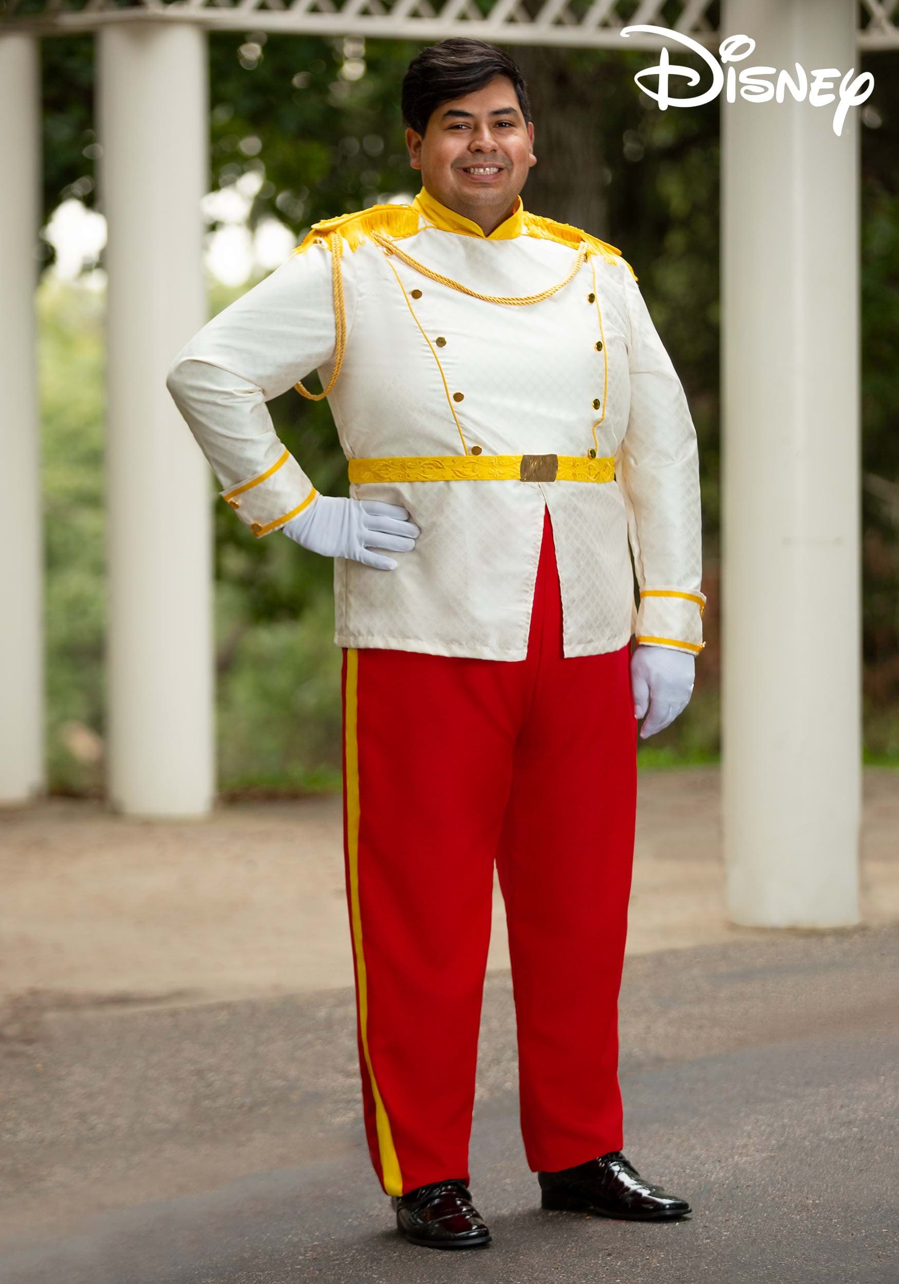 Men's Plus Size Prince Charming Costume from Disney's Cinderella