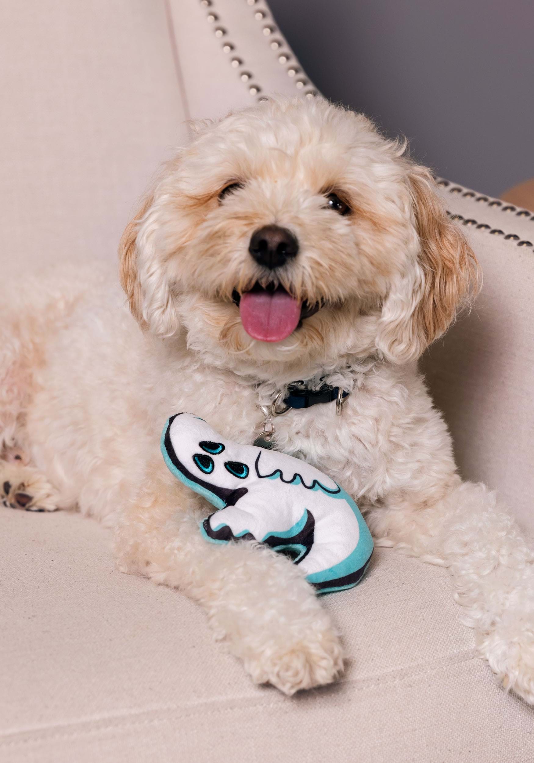 Ghost Squeaky Pet Toy