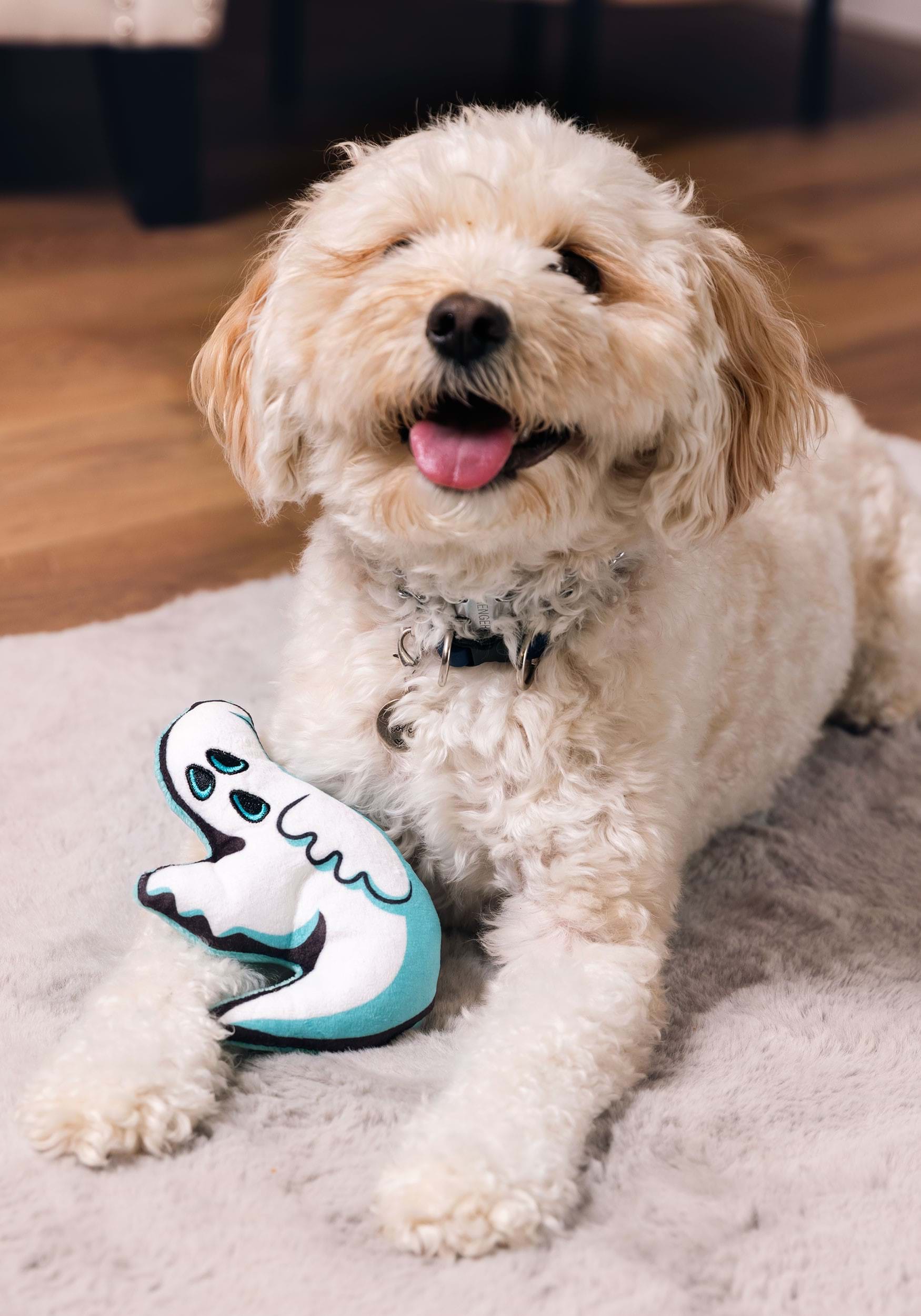 Ghost Squeaky Pet Toy