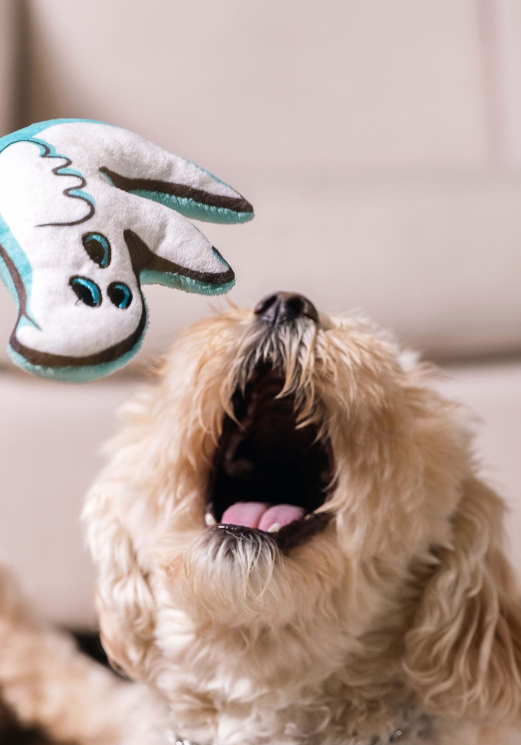 Ghost Squeaky Pet Toy