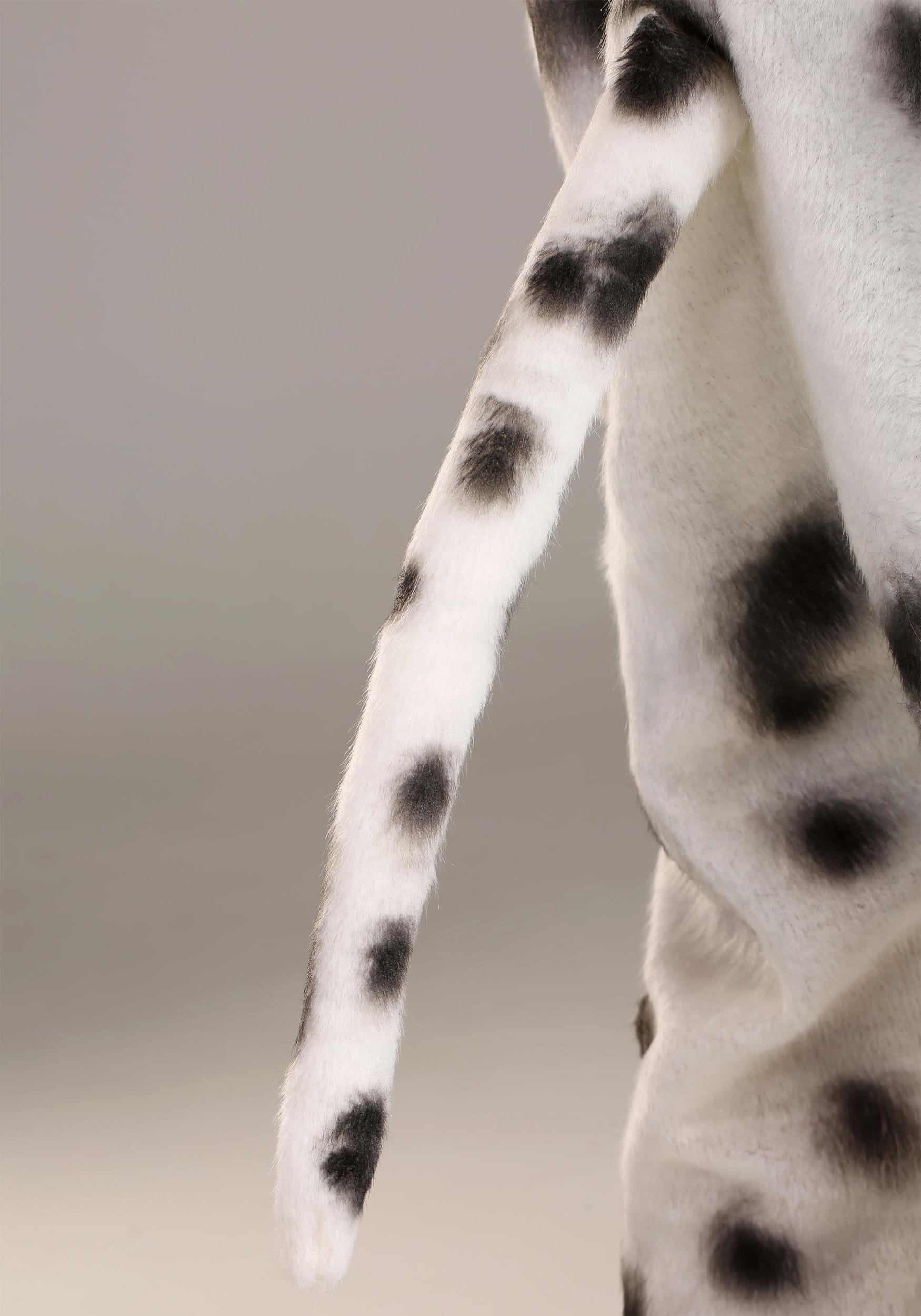 Dalmatian Suit With Mouth Mover Mask for Adults
