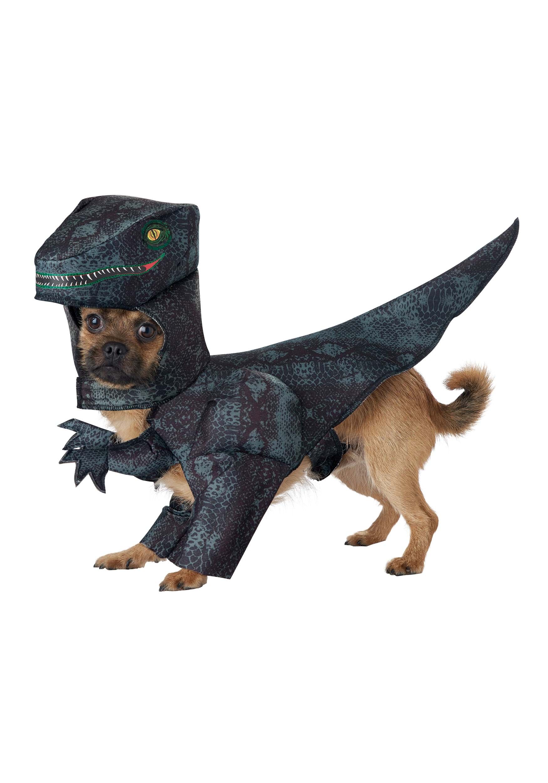Pupasaurus Rex Costume for Dogs