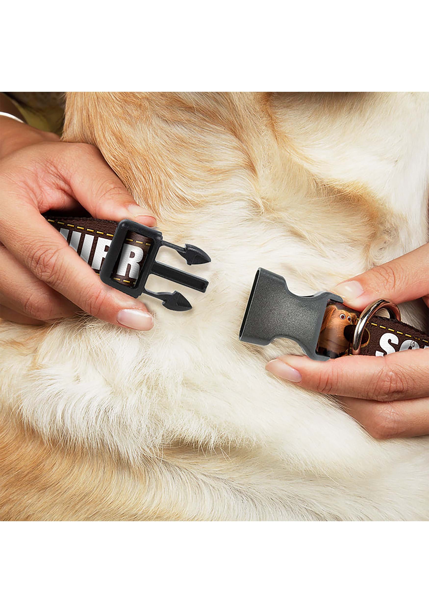 Dug 3 Poses Squirrel! Plastic Clip Pet Collar