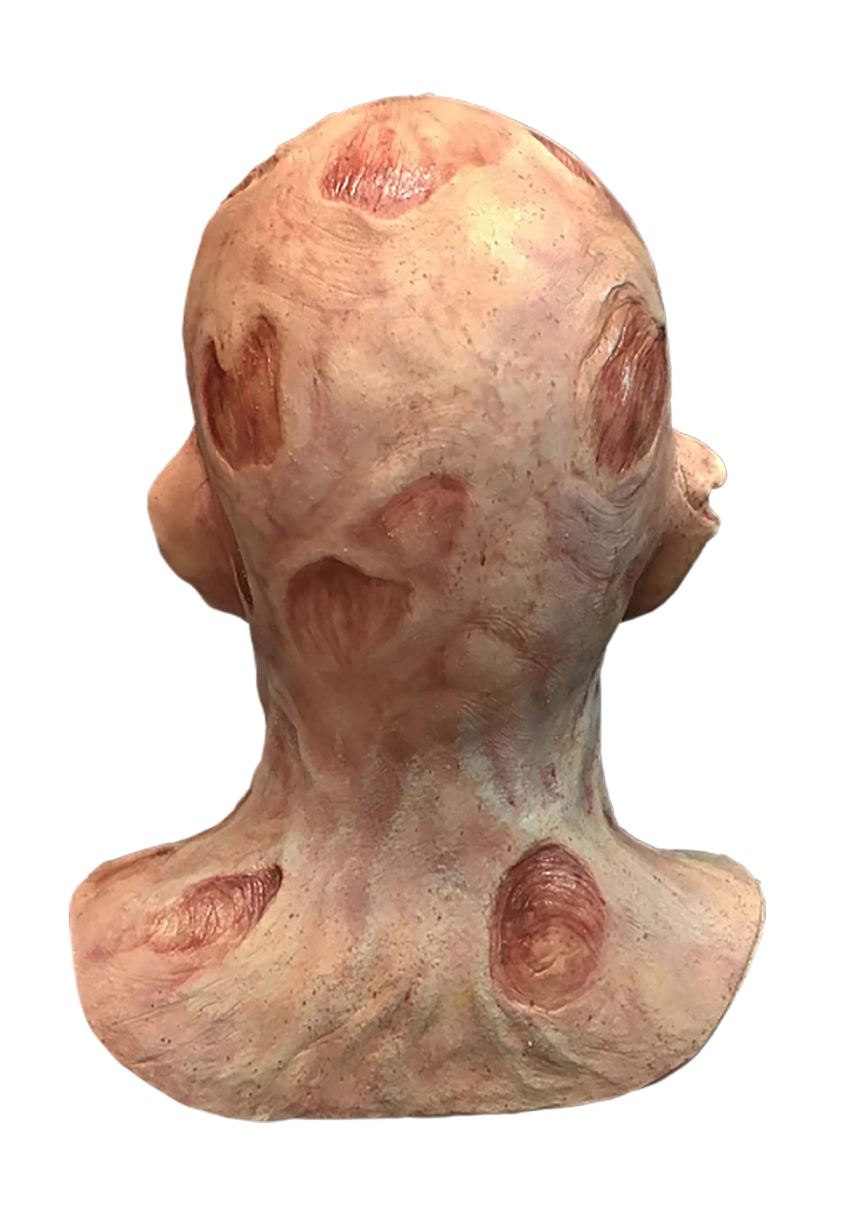 Officially Licensed A Nightmare on Elm Street Freddy's Revenge Mask