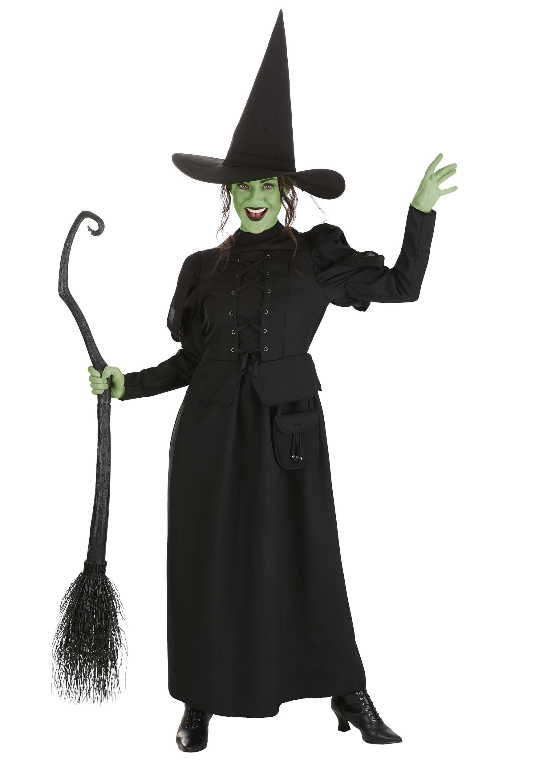 Wizard of Oz Wicked Witch Women's Costume