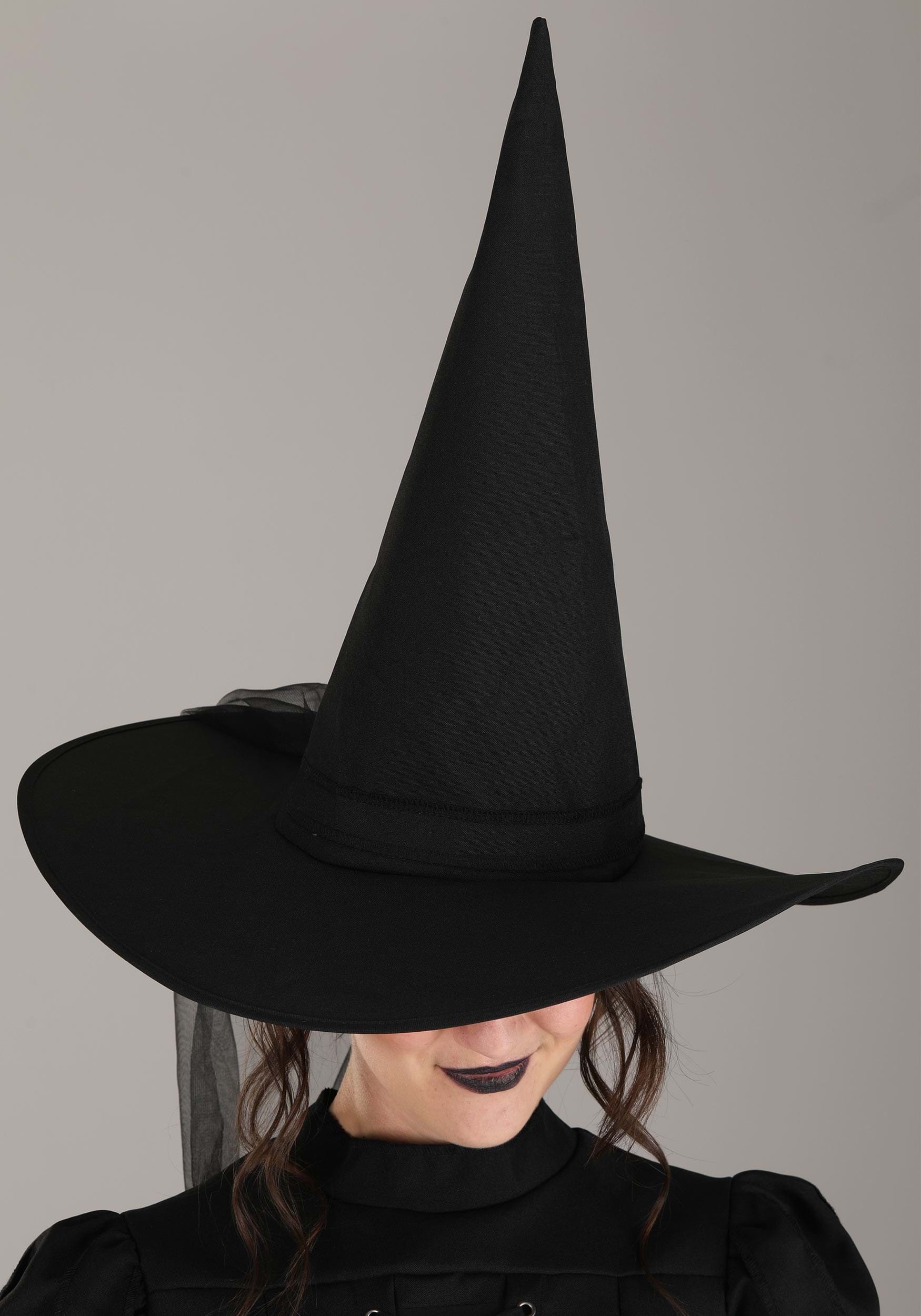 Wizard of Oz Wicked Witch Women's Costume
