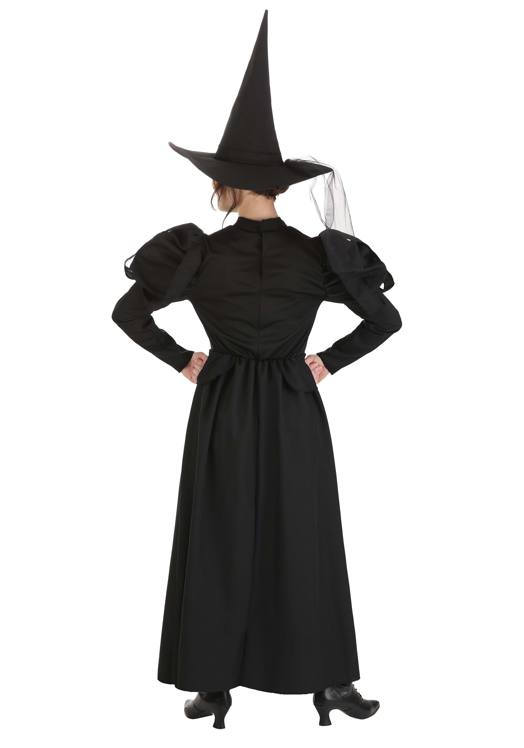 Wizard of Oz Wicked Witch Women's Costume