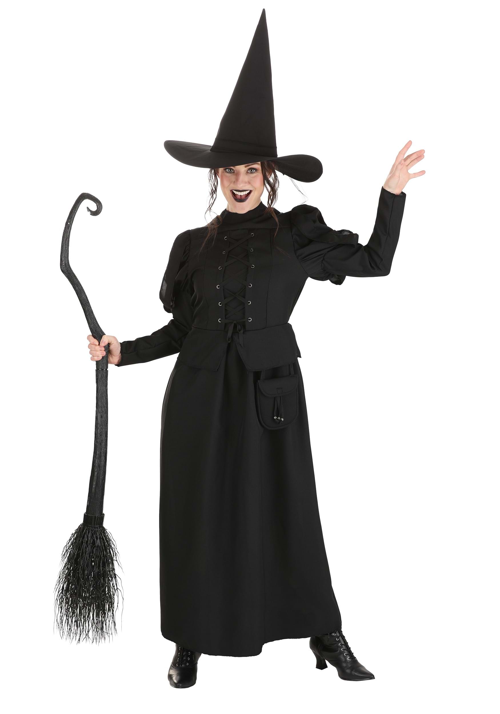 Wizard of Oz Wicked Witch Women's Costume