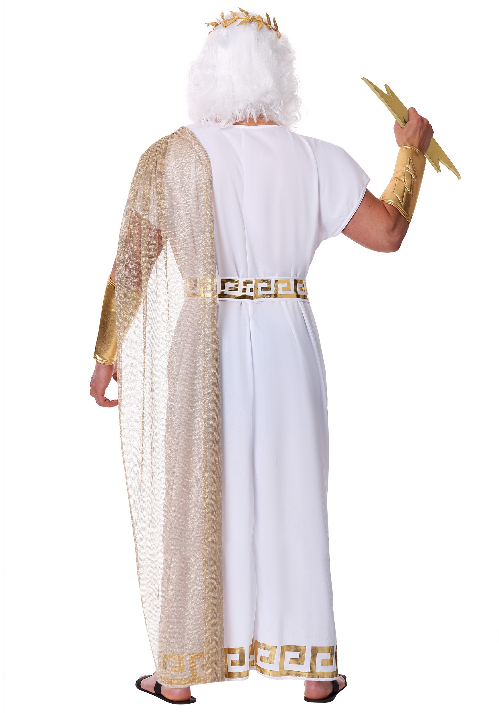 Men's Zeus Costume