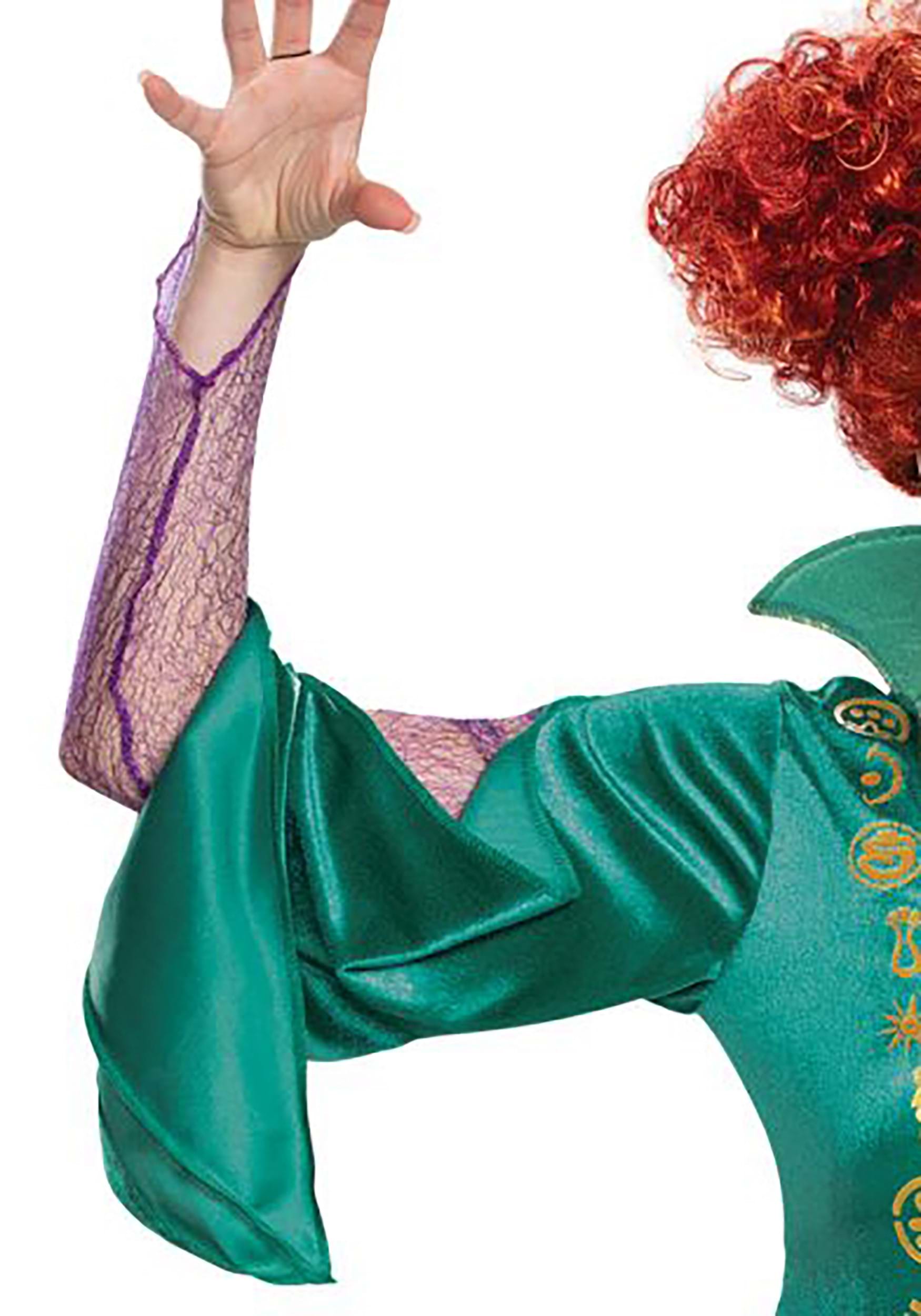 Hocus Pocus Deluxe Wini Costume for Women