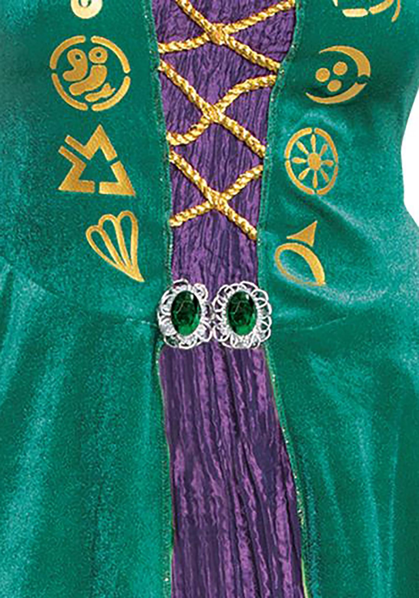 Hocus Pocus Deluxe Wini Costume for Women