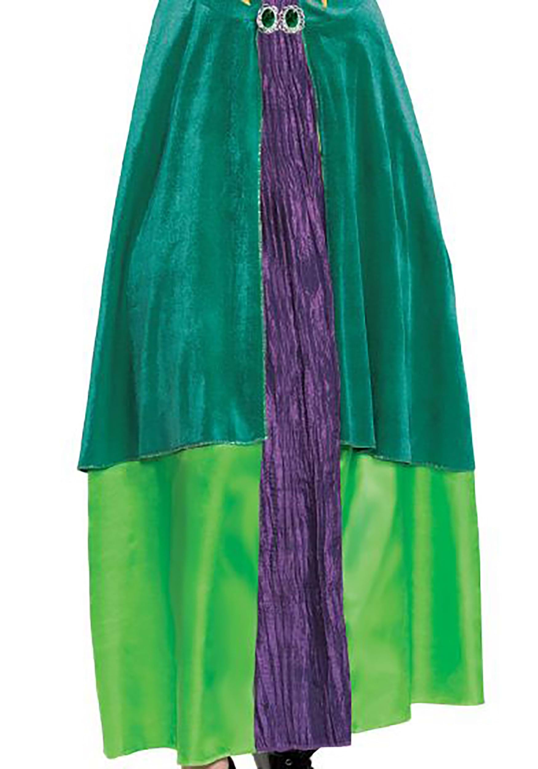Hocus Pocus Deluxe Wini Costume for Women