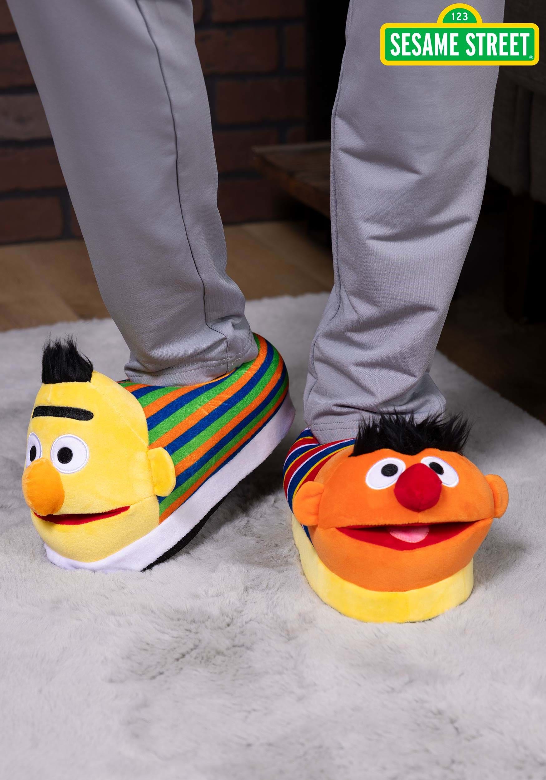 Adult Sesame Street Bert & Ernie Plush Slippers