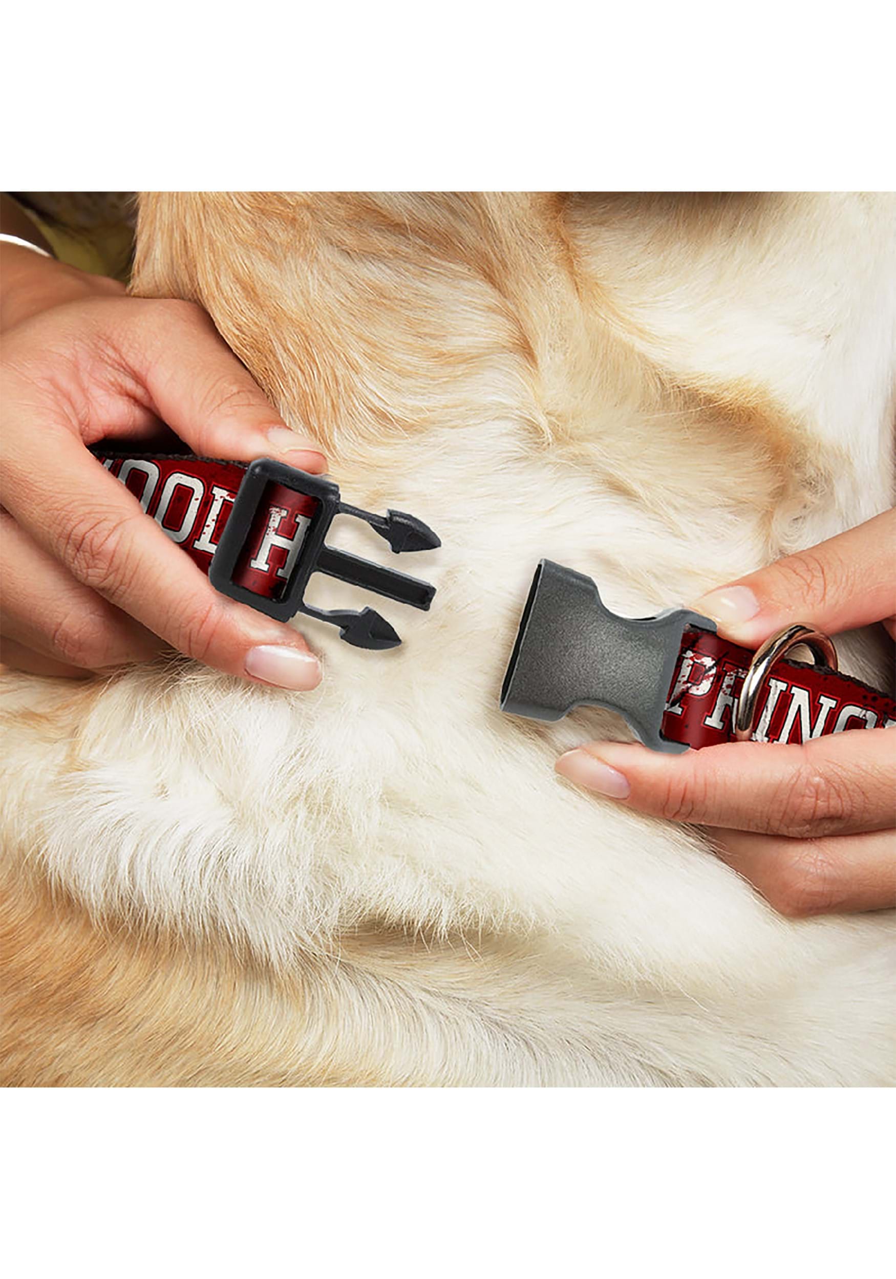 Freddy Krueger Springwood High Plastic Pet Collar