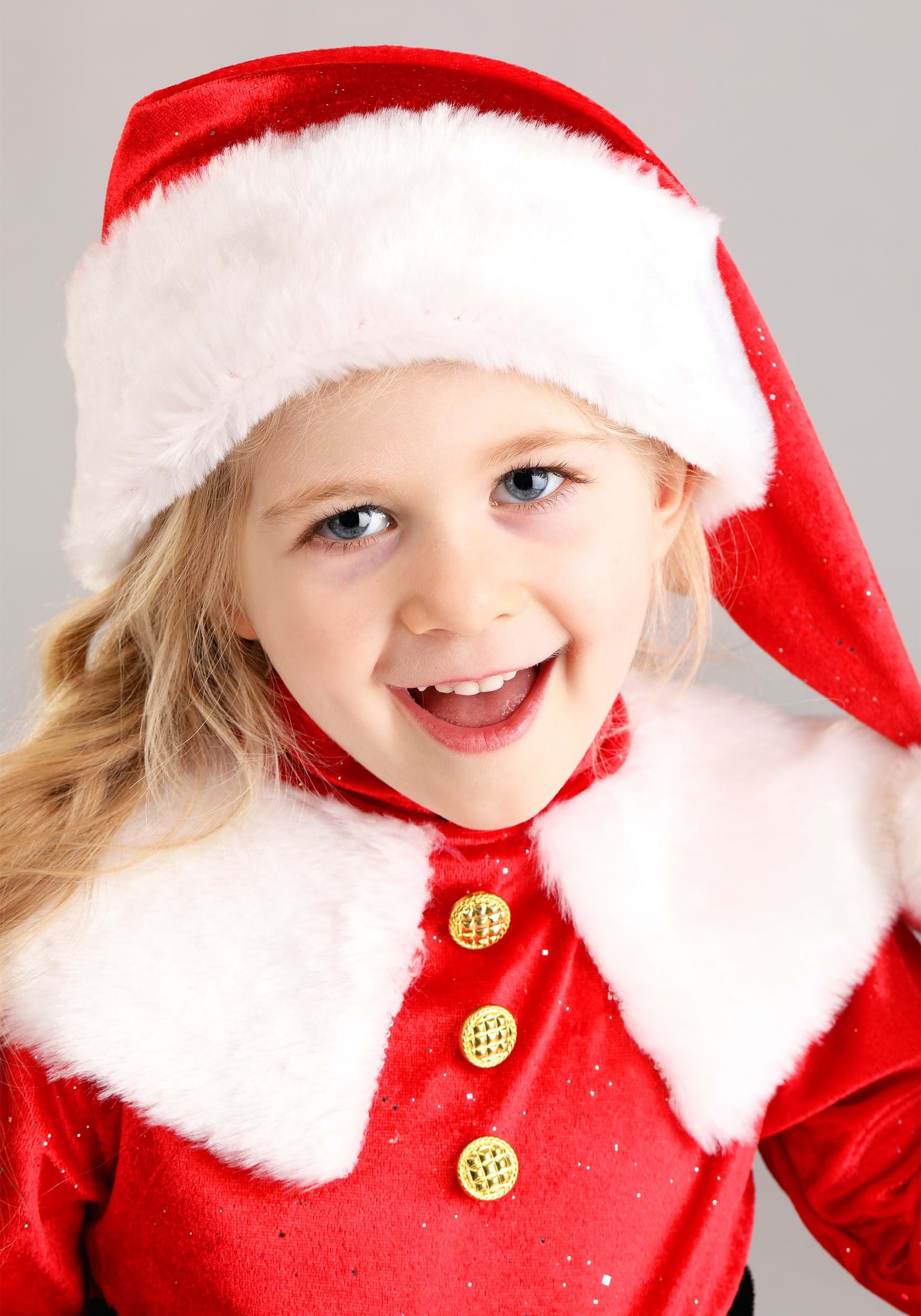 Premium Santa Girl's Toddler Costume Dress