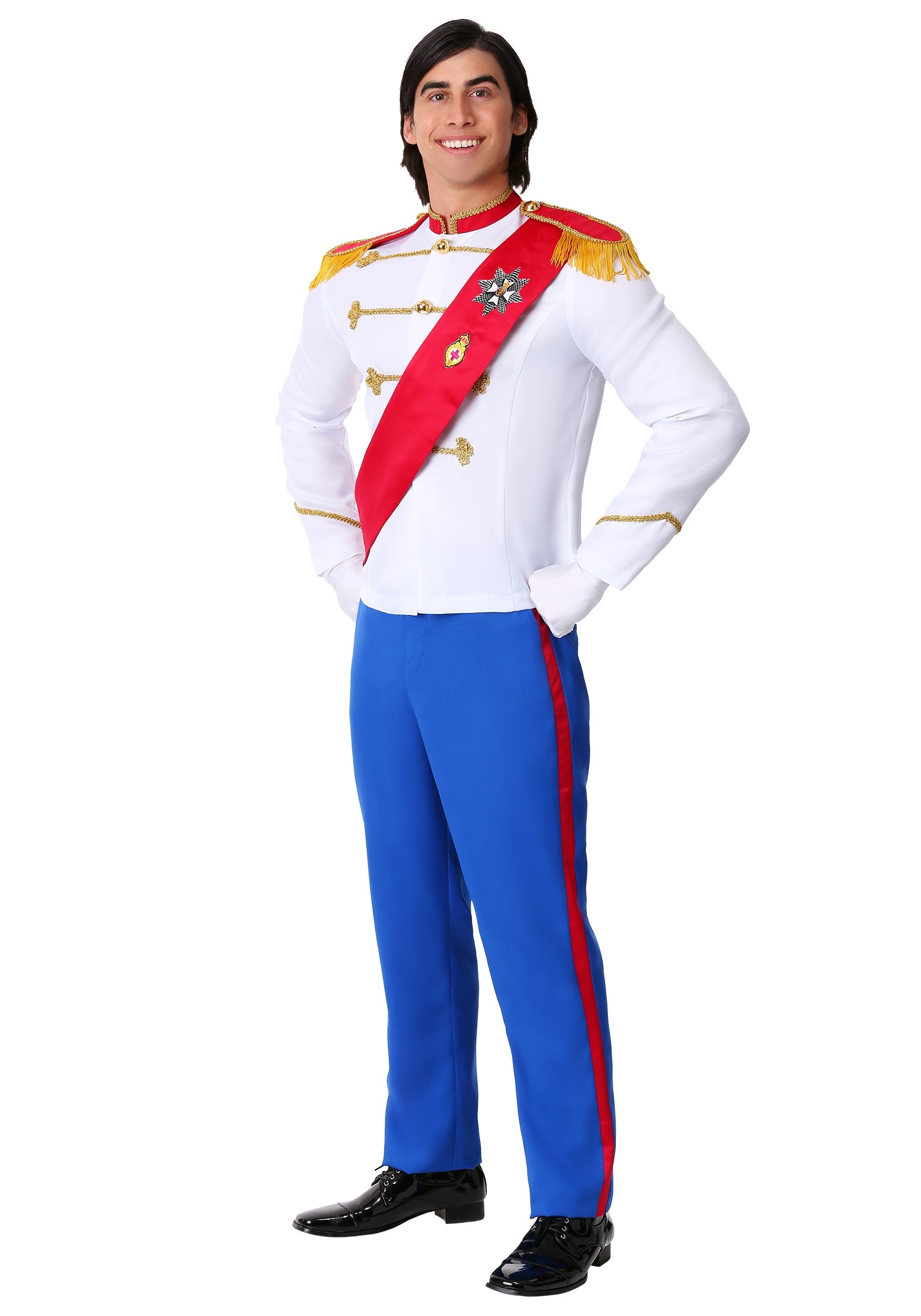 Plus Size Charming Prince Costume for Men