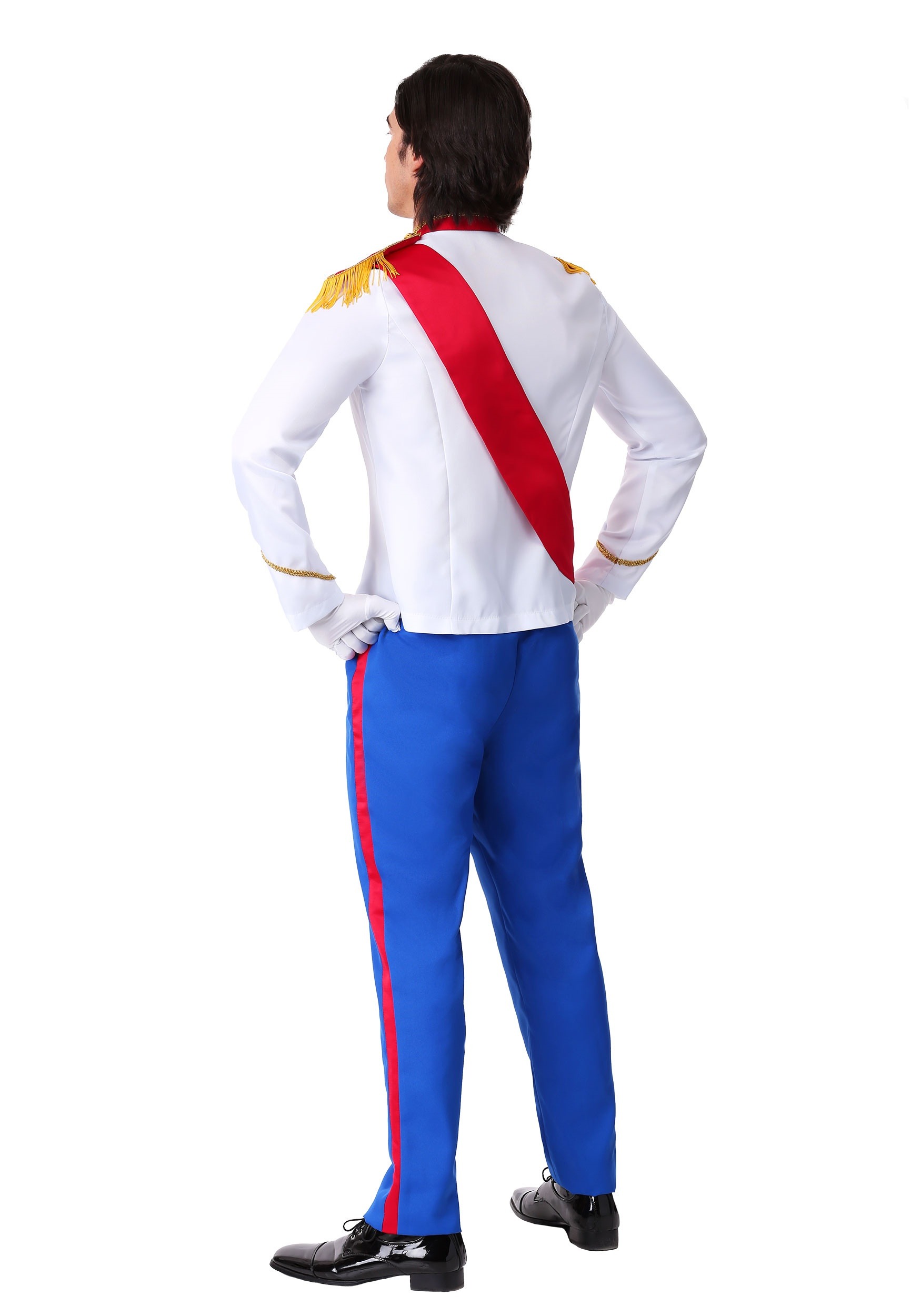 Plus Size Charming Prince Costume for Men