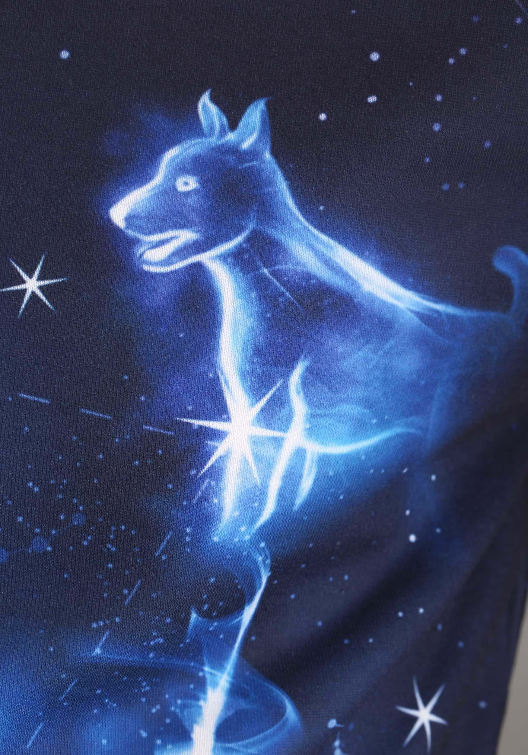 Harry Potter Patronus Ugly Sweatshirt for Adults