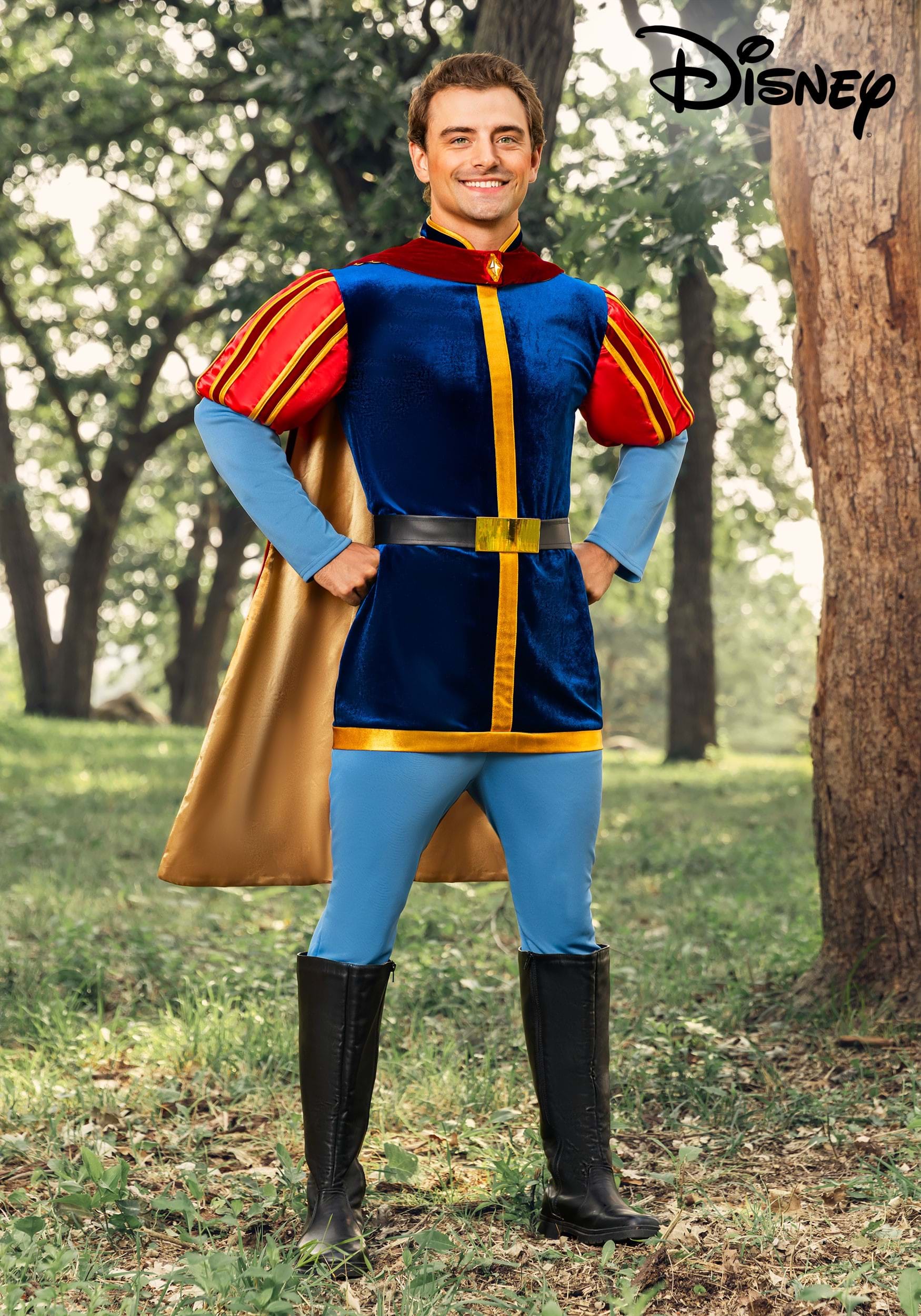 Men's Disney Sleeping Beauty Prince Phillip Costume