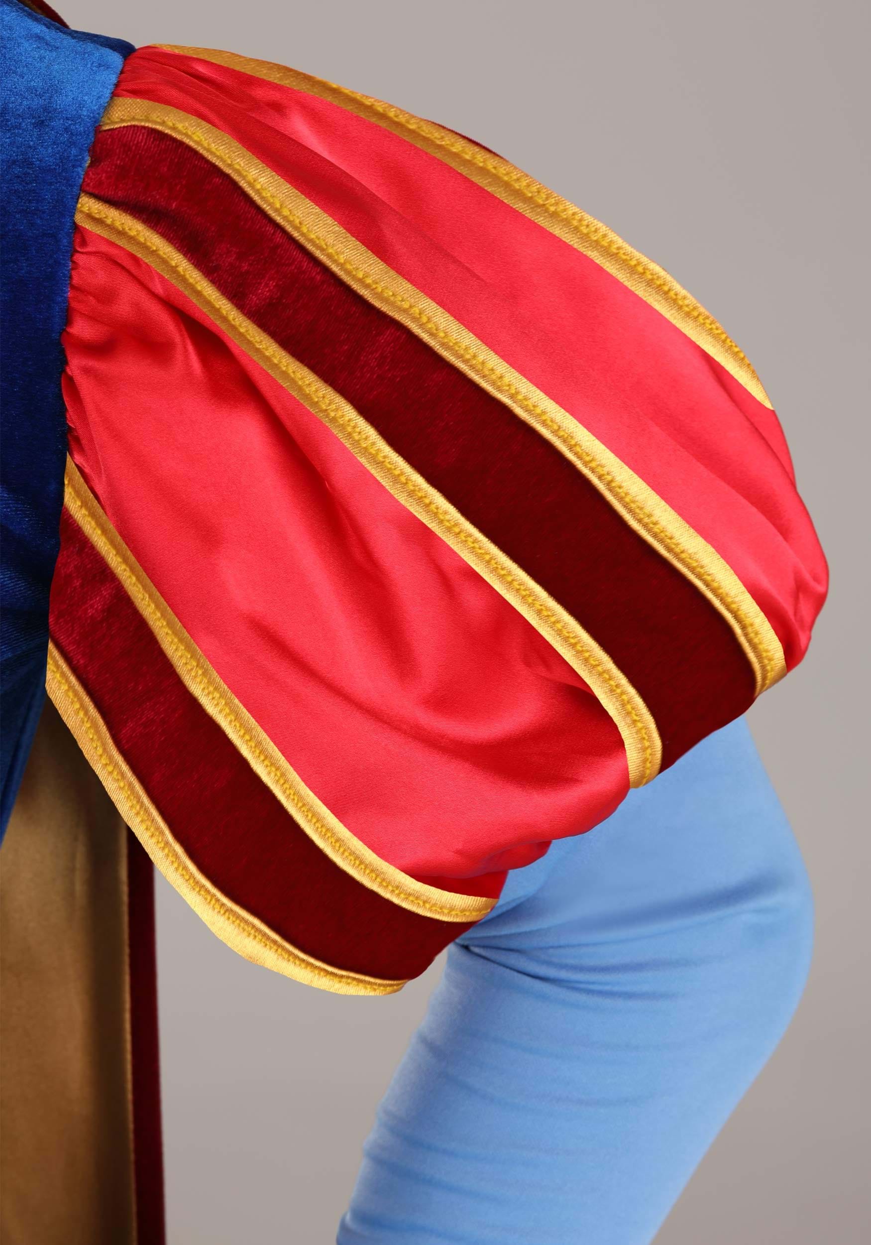 Men's Disney Sleeping Beauty Prince Phillip Costume
