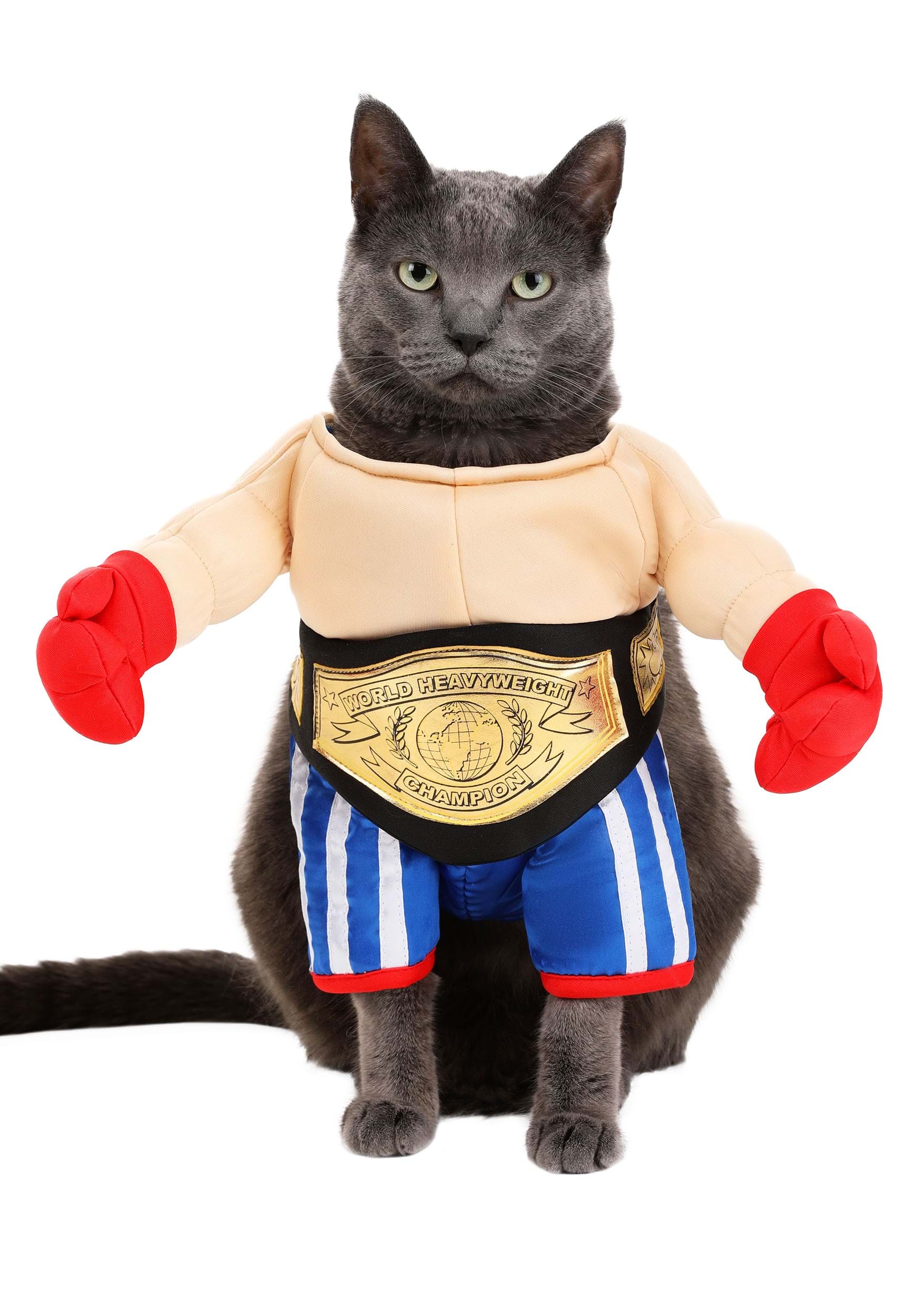 Champion Boxer Costume for Pets
