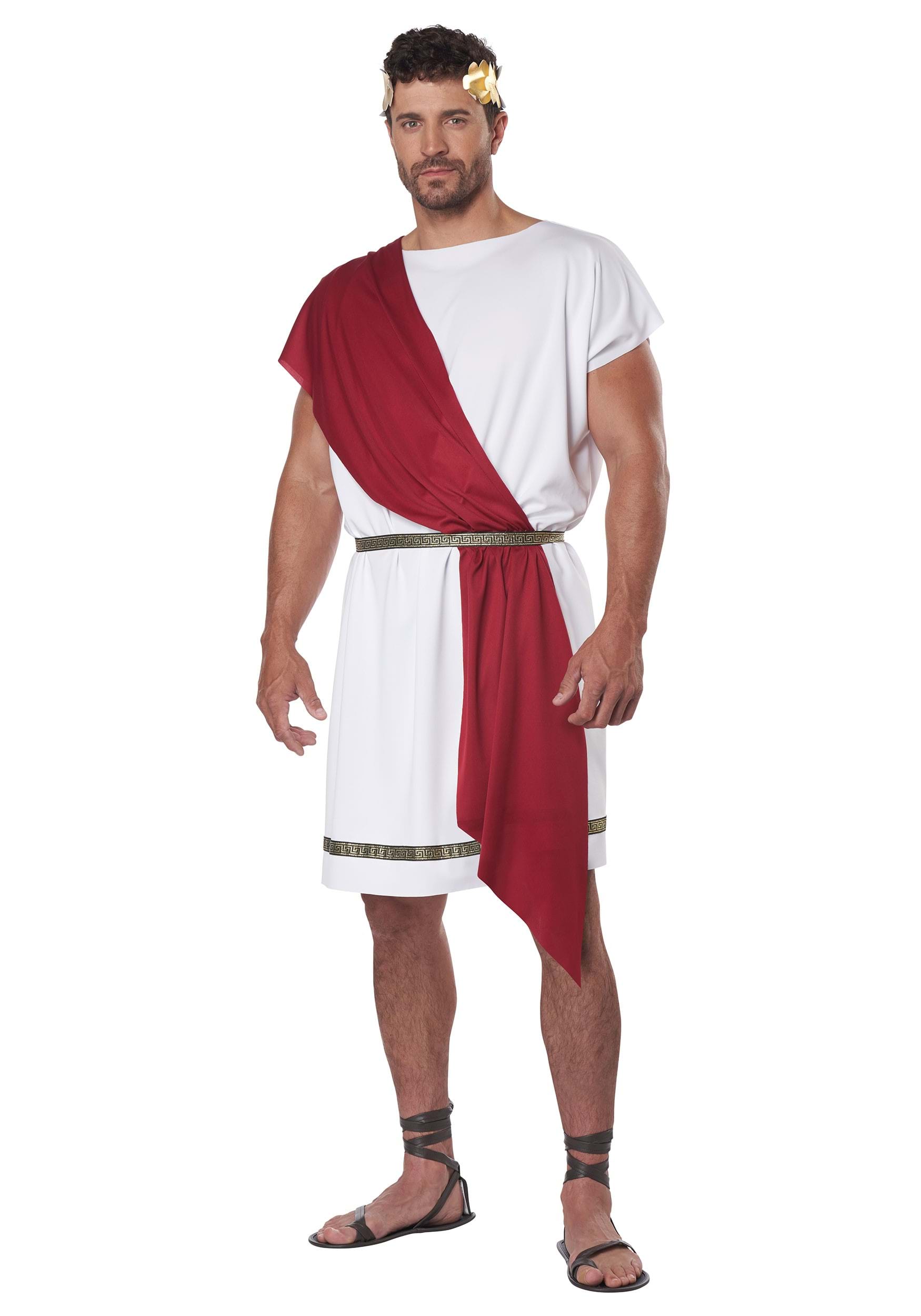 Party Toga Costume for Adults 5 Party Toga Costume for Adults