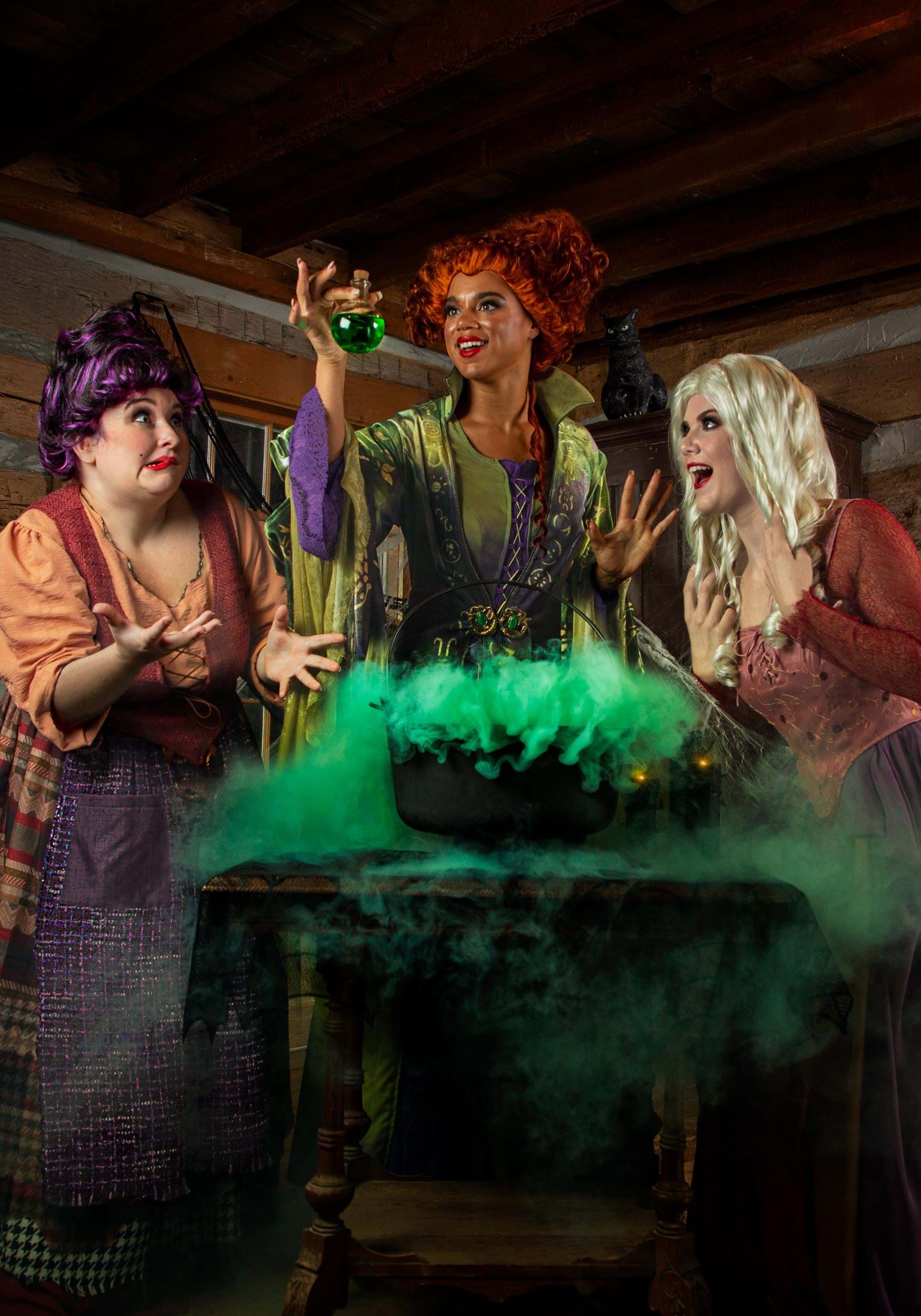 Mary Sanderson Costume for Plus Size Women from Disney鈥檚 Hocus Pocus