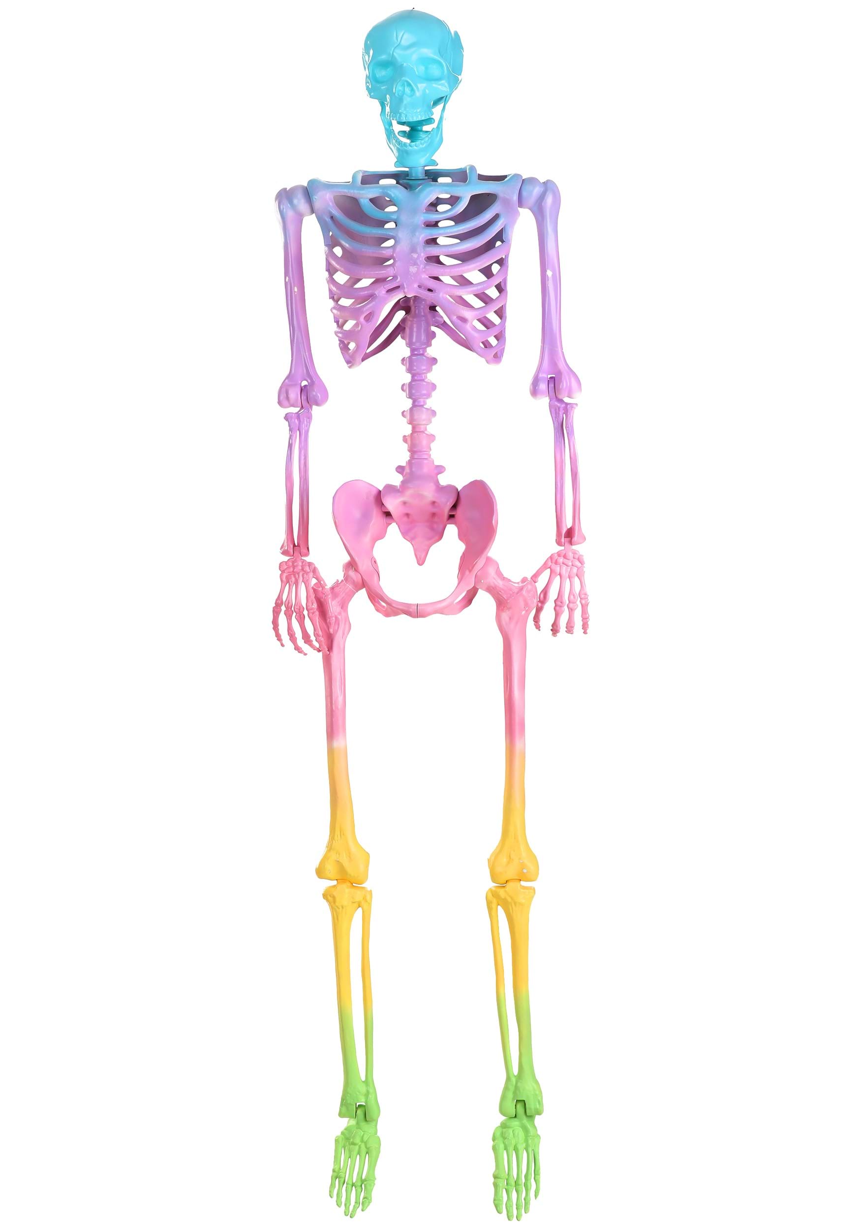 Poseable 5FT Crazy Bones Skeleton in Rainbow Decoration
