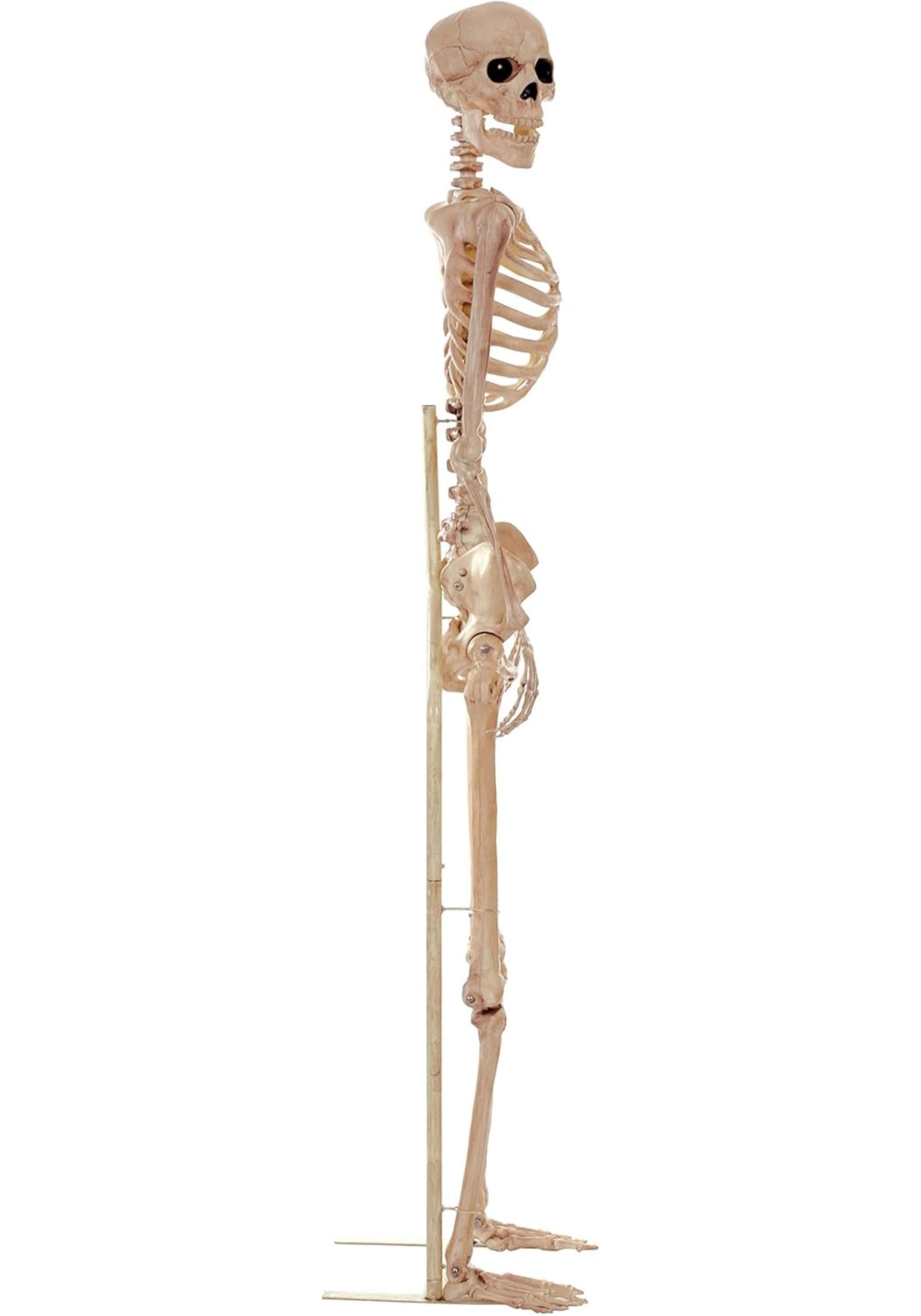 3.5FT Metal Stand for Life Size Skeleton Halloween Decoration