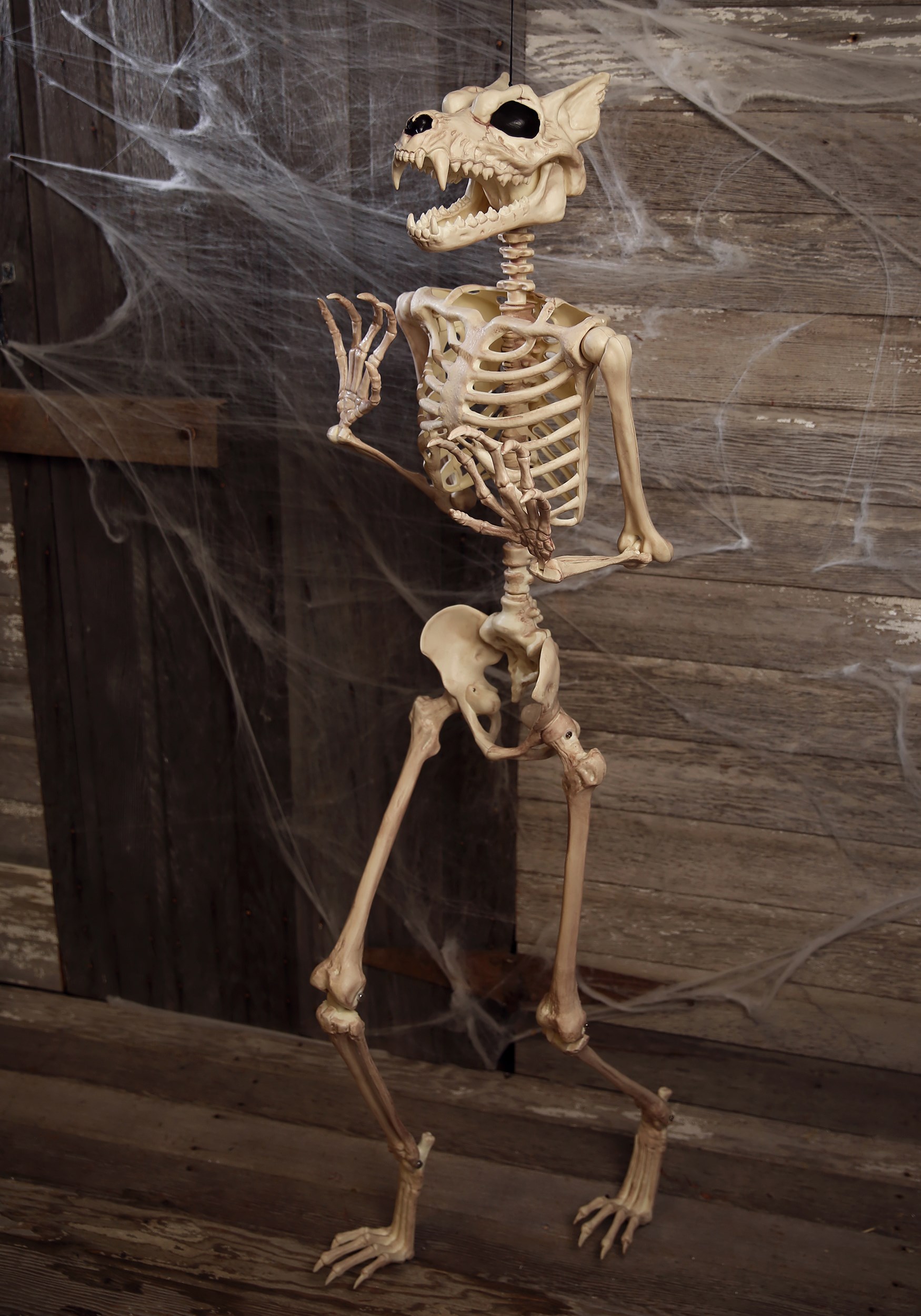 Poseable 5.3FT Werewolf Skeleton Halloween Decoration