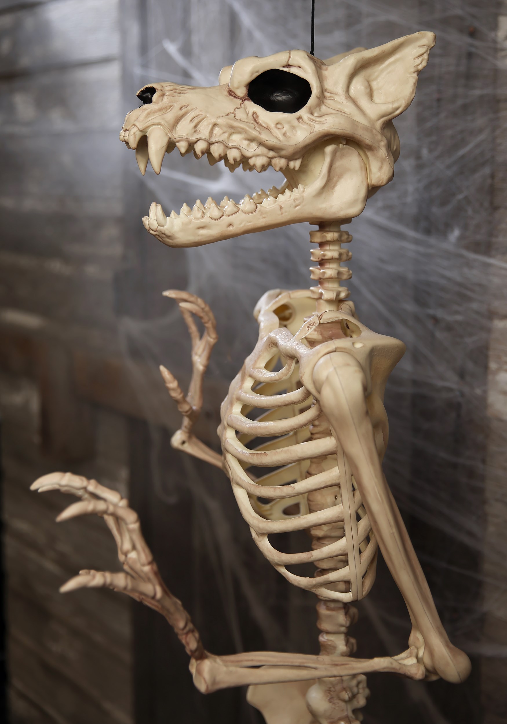 Poseable 5.3FT Werewolf Skeleton Halloween Decoration