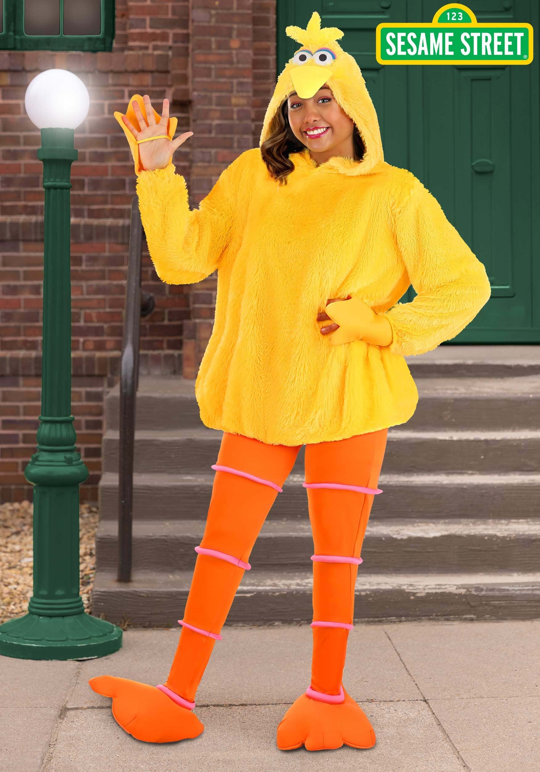 Women's Sesame Street Cozy Big Bird Costume