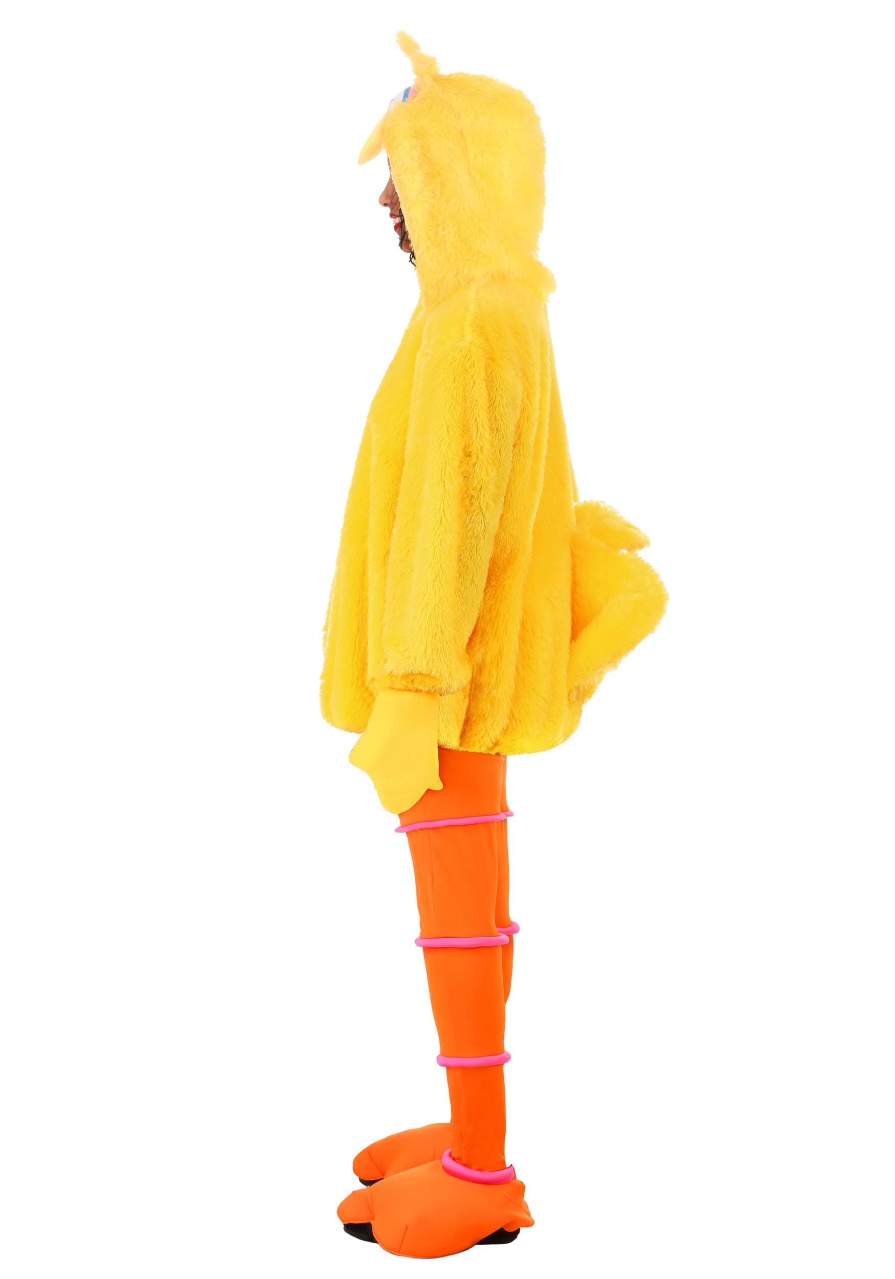 Women's Sesame Street Cozy Big Bird Costume