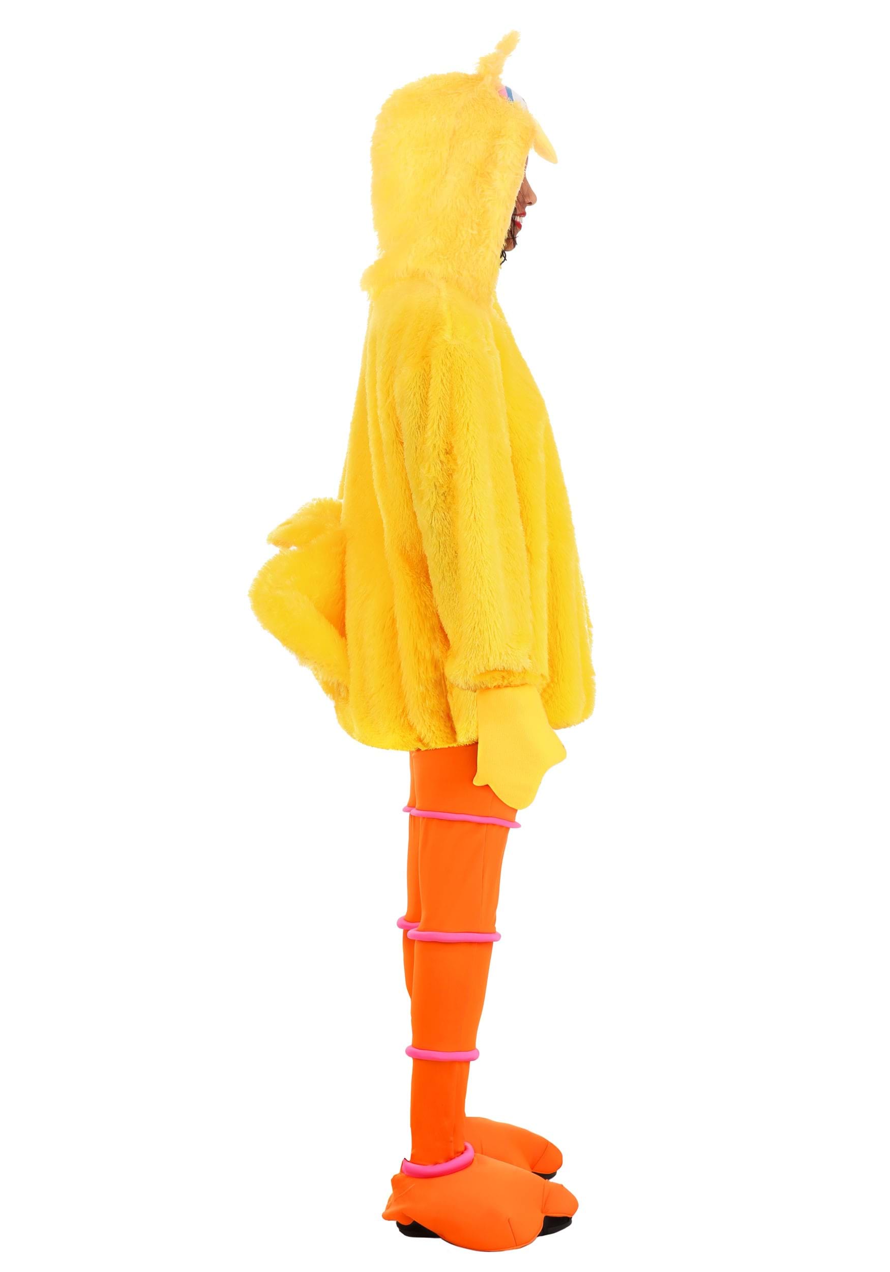 Women's Sesame Street Cozy Big Bird Costume