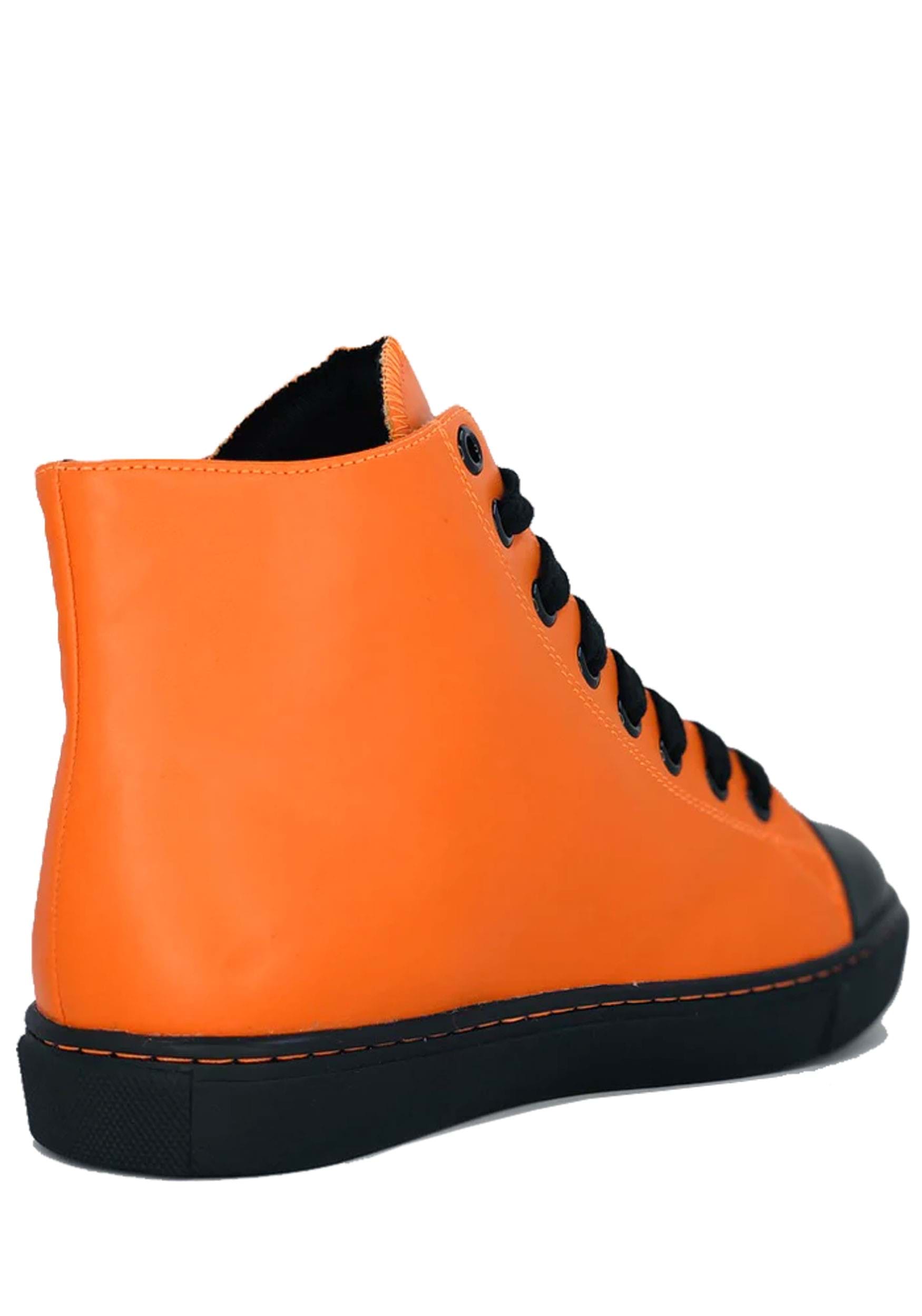 High Top Chelsea Orange Pumpkin Jack Sneaker for Women