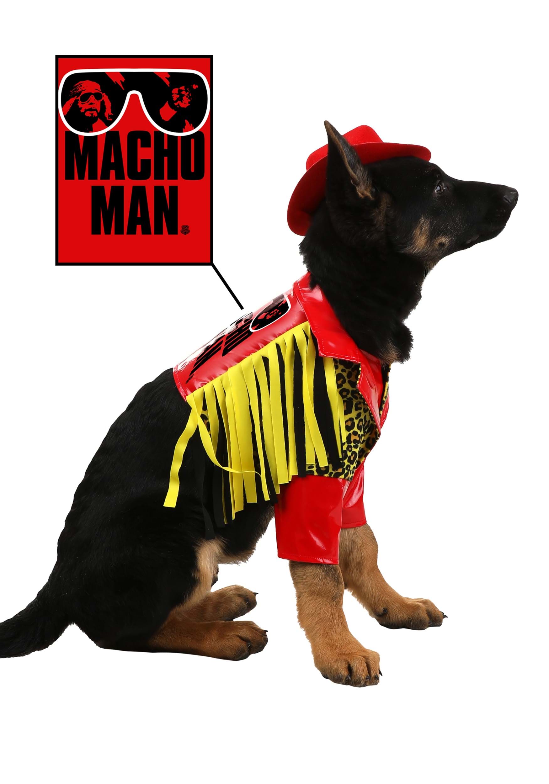 Macho Man Costume for Pets