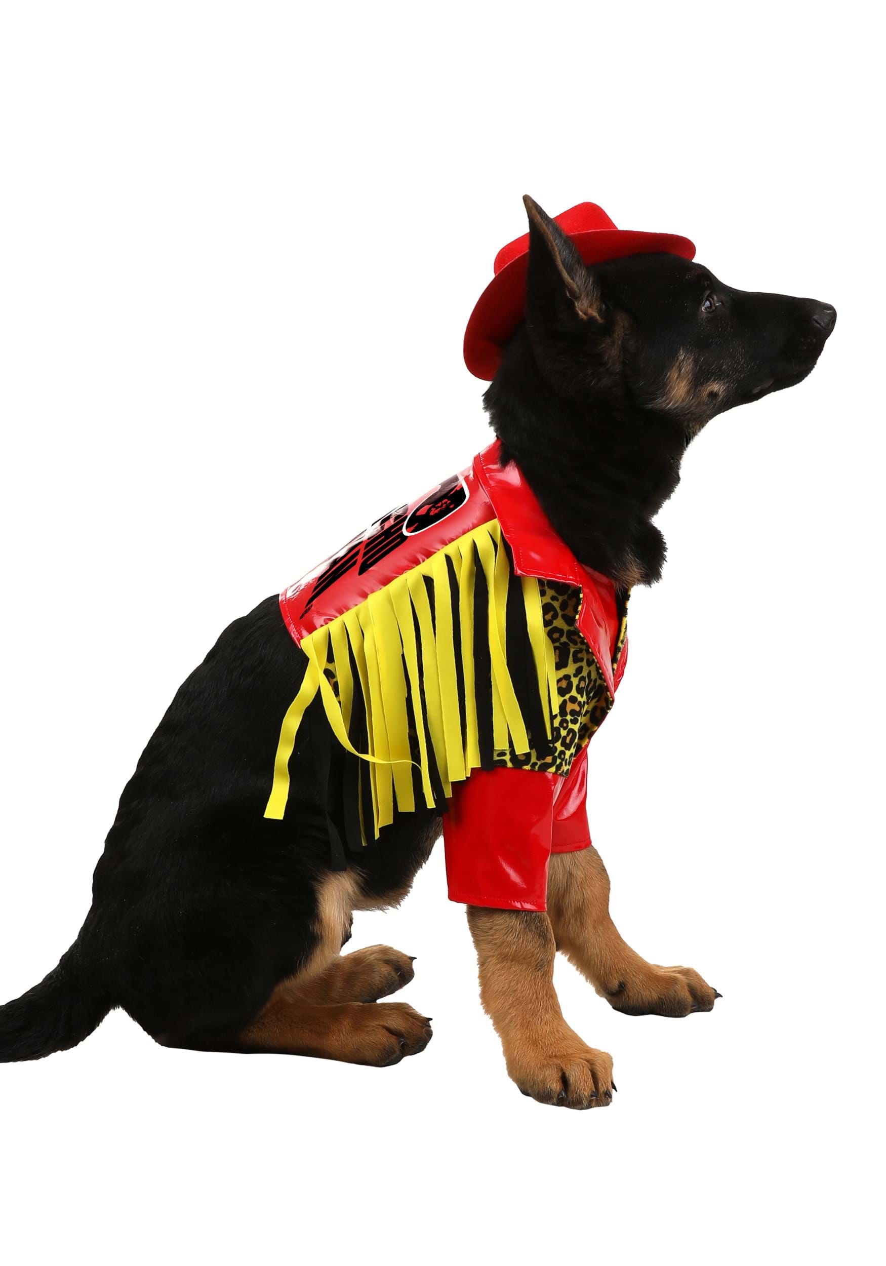 Macho Man Costume for Pets