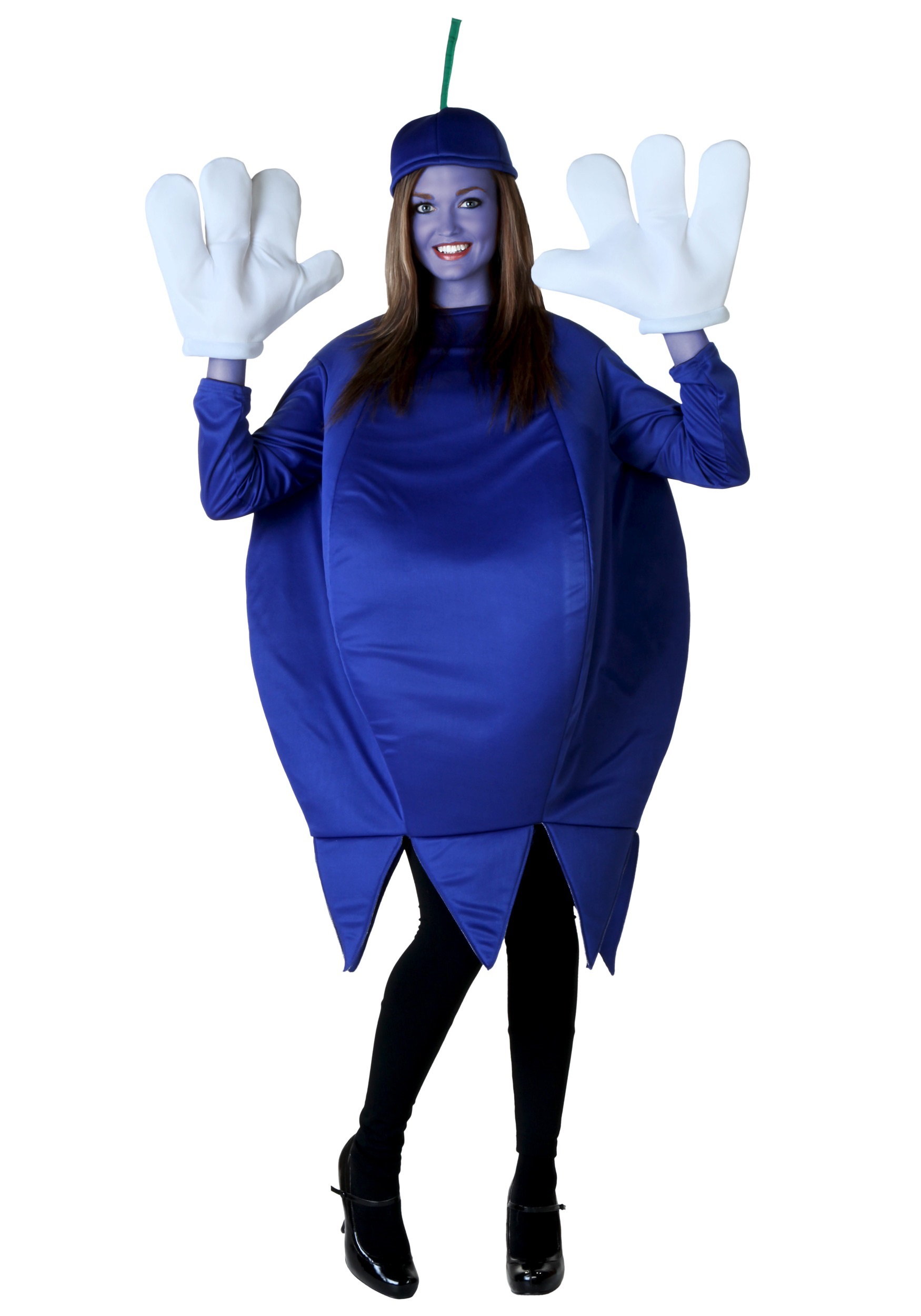 Plus Size Blueberry Adult Costume