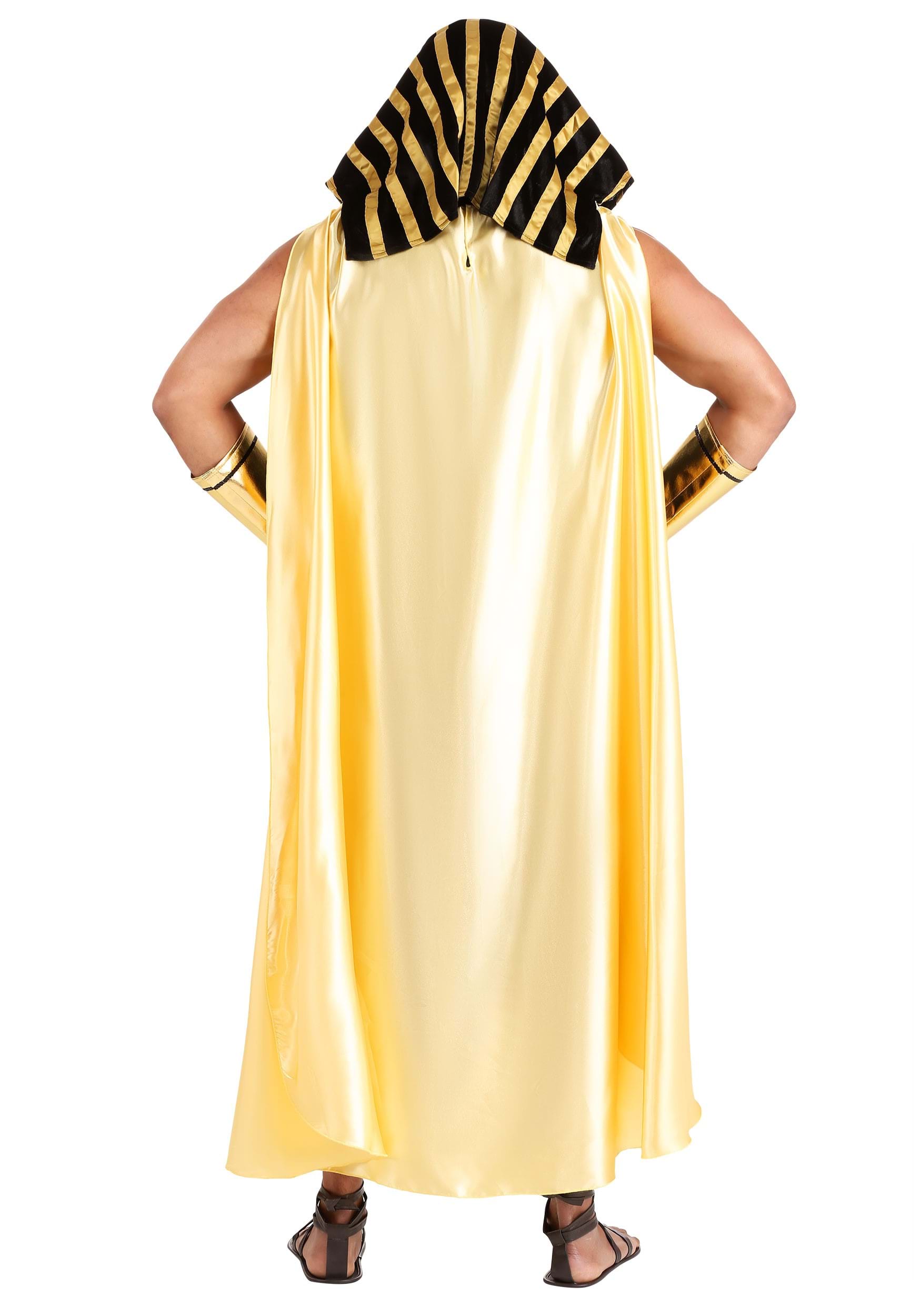 Mens King of Egypt Costume