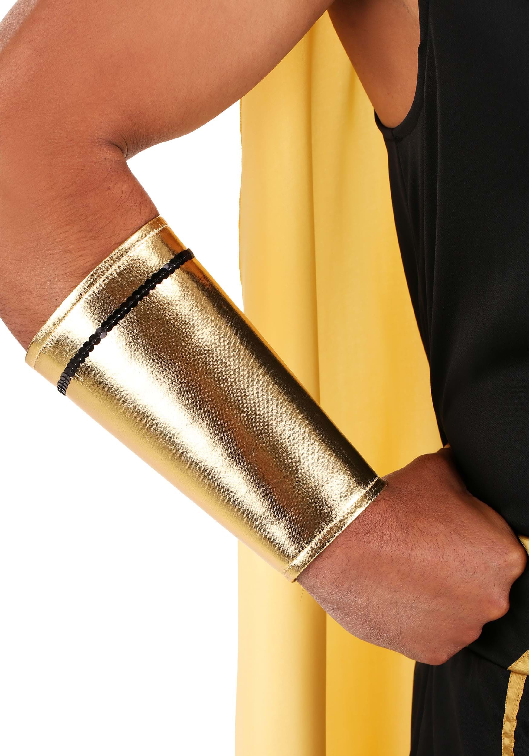 Mens King of Egypt Costume