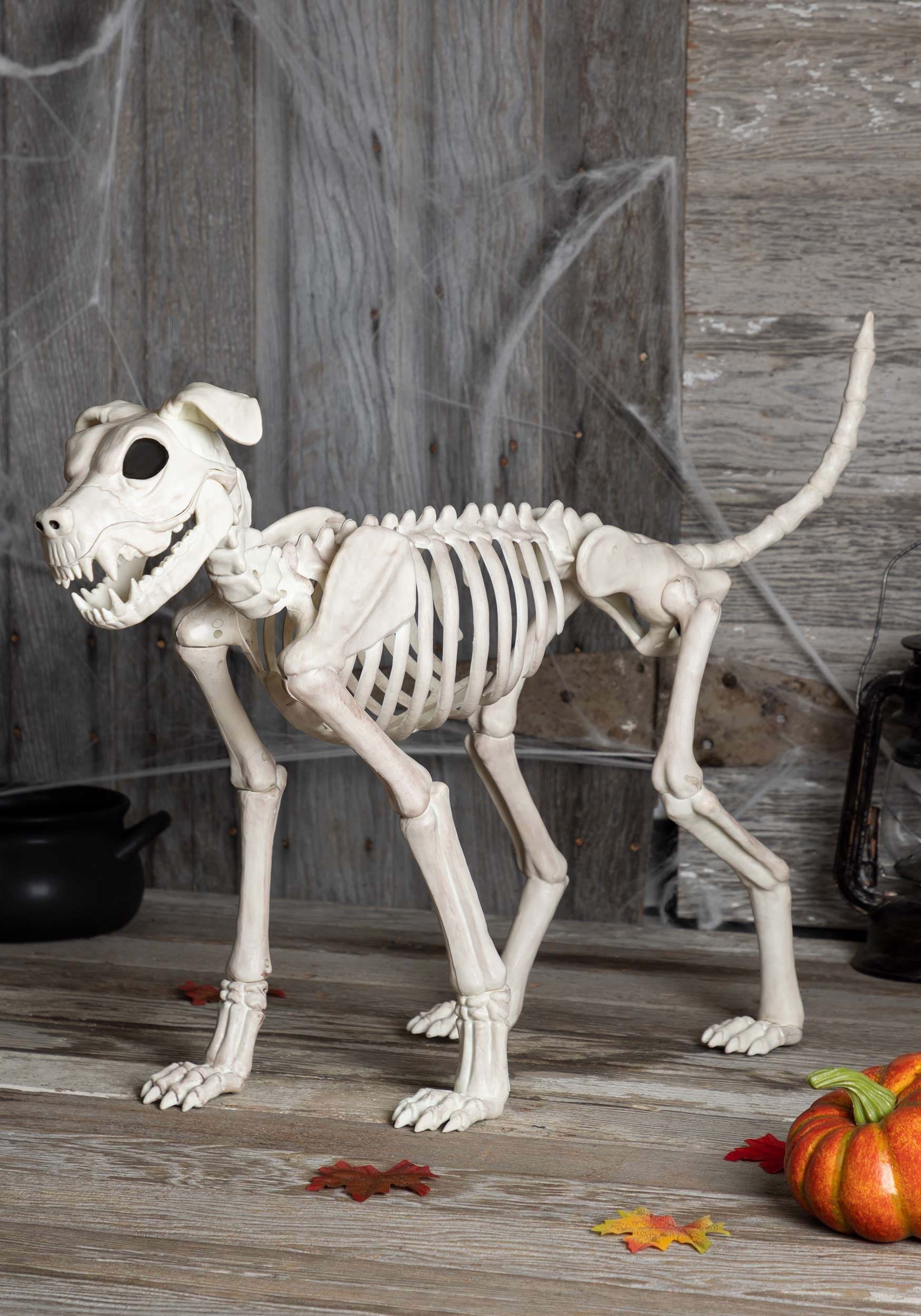 28-Inch Buster Dog Bonez Skeleton Decoration