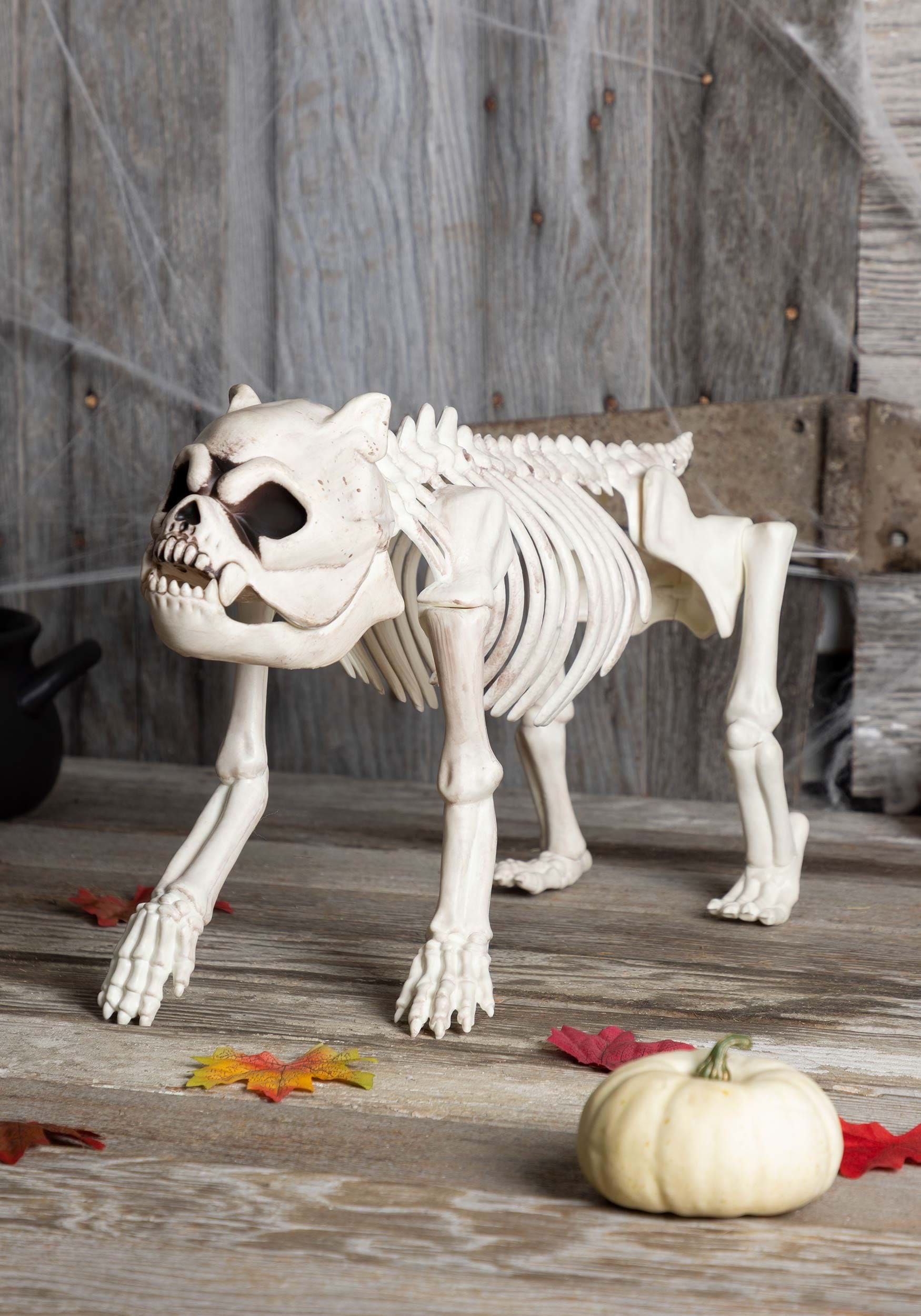 11-Inch Bones the Hungry Hound Dog Skeleton Decoration