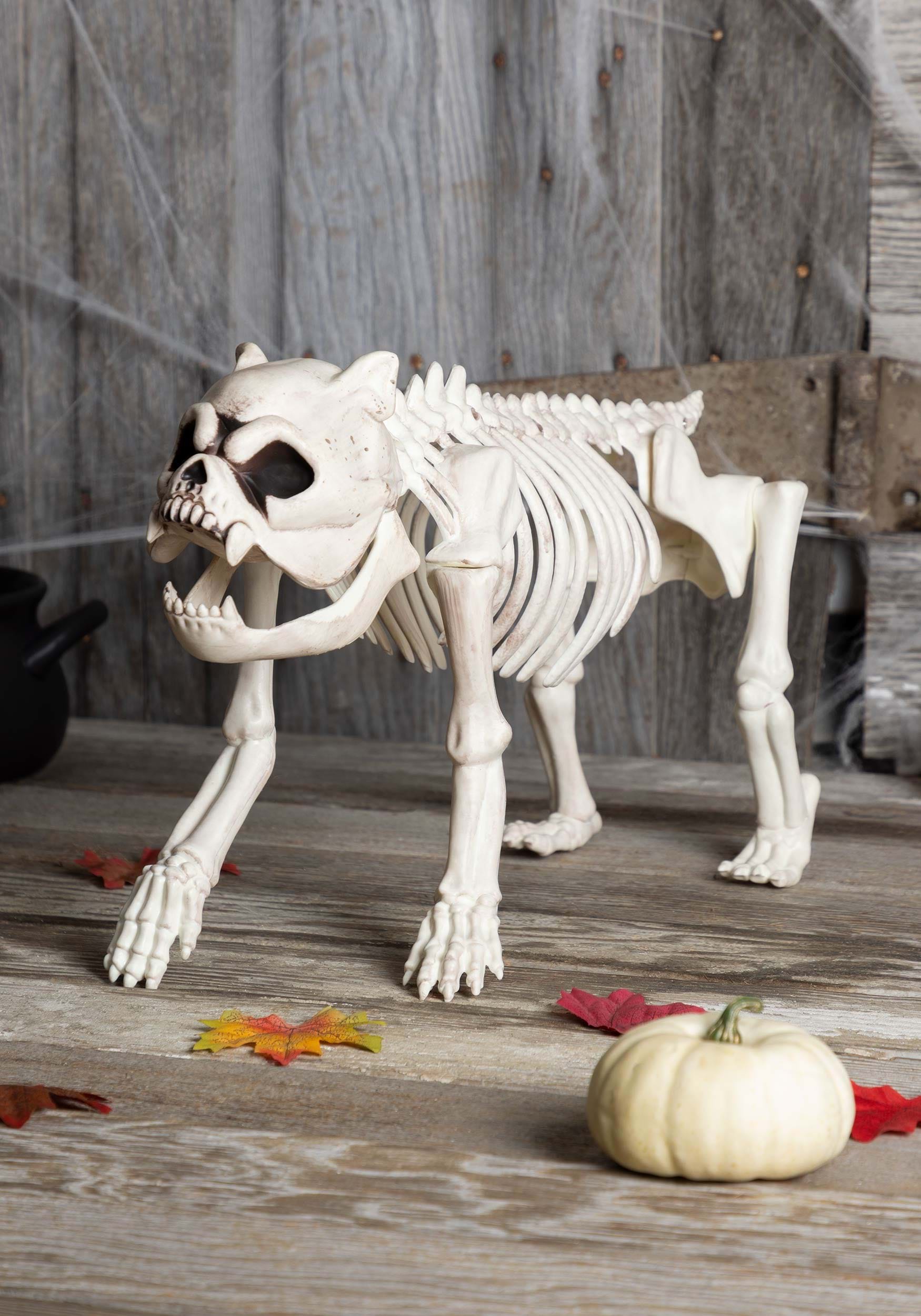 11-Inch Bones the Hungry Hound Dog Skeleton Decoration