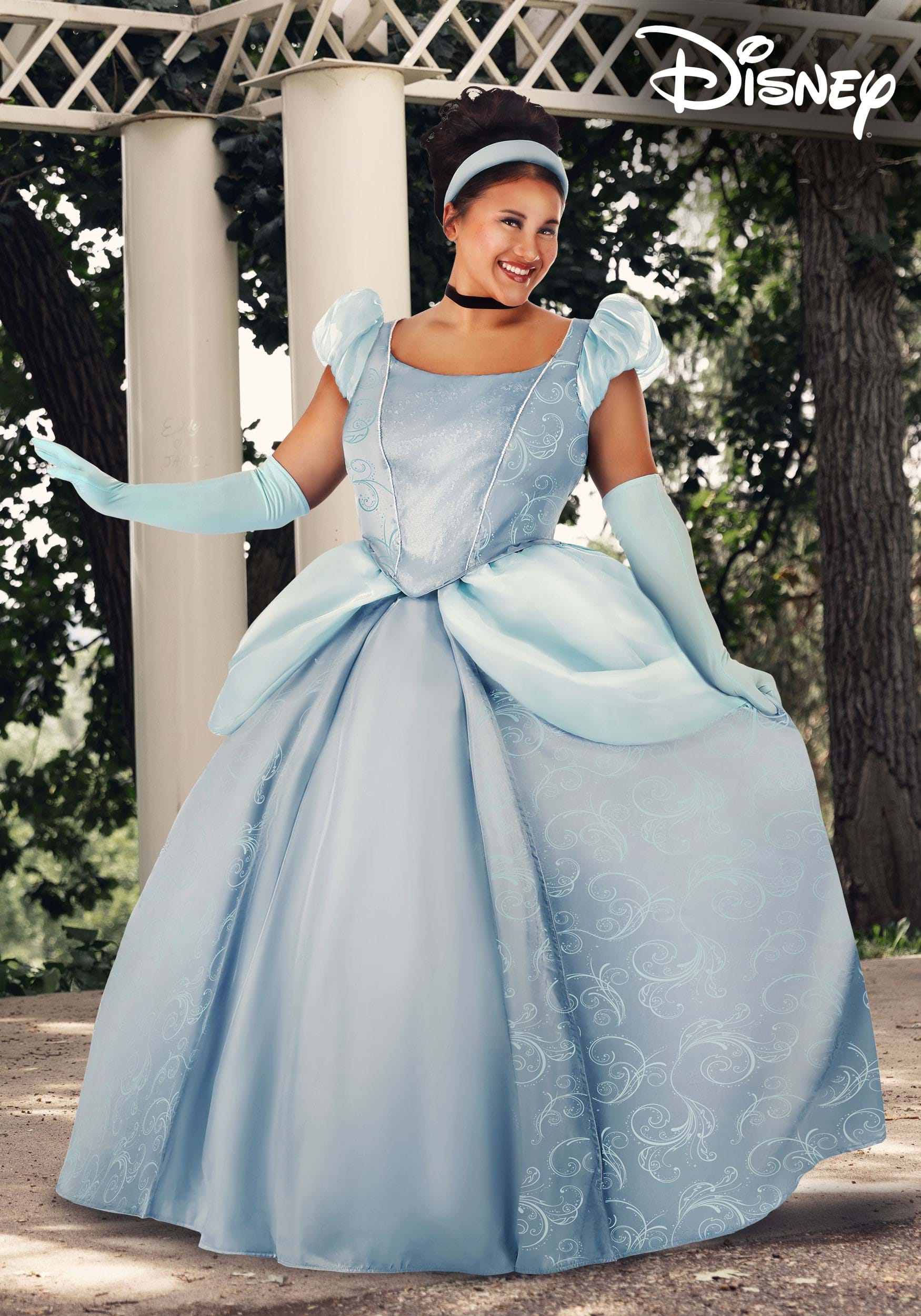 Women's Plus Size Disney Premium Cinderella Costume Dress