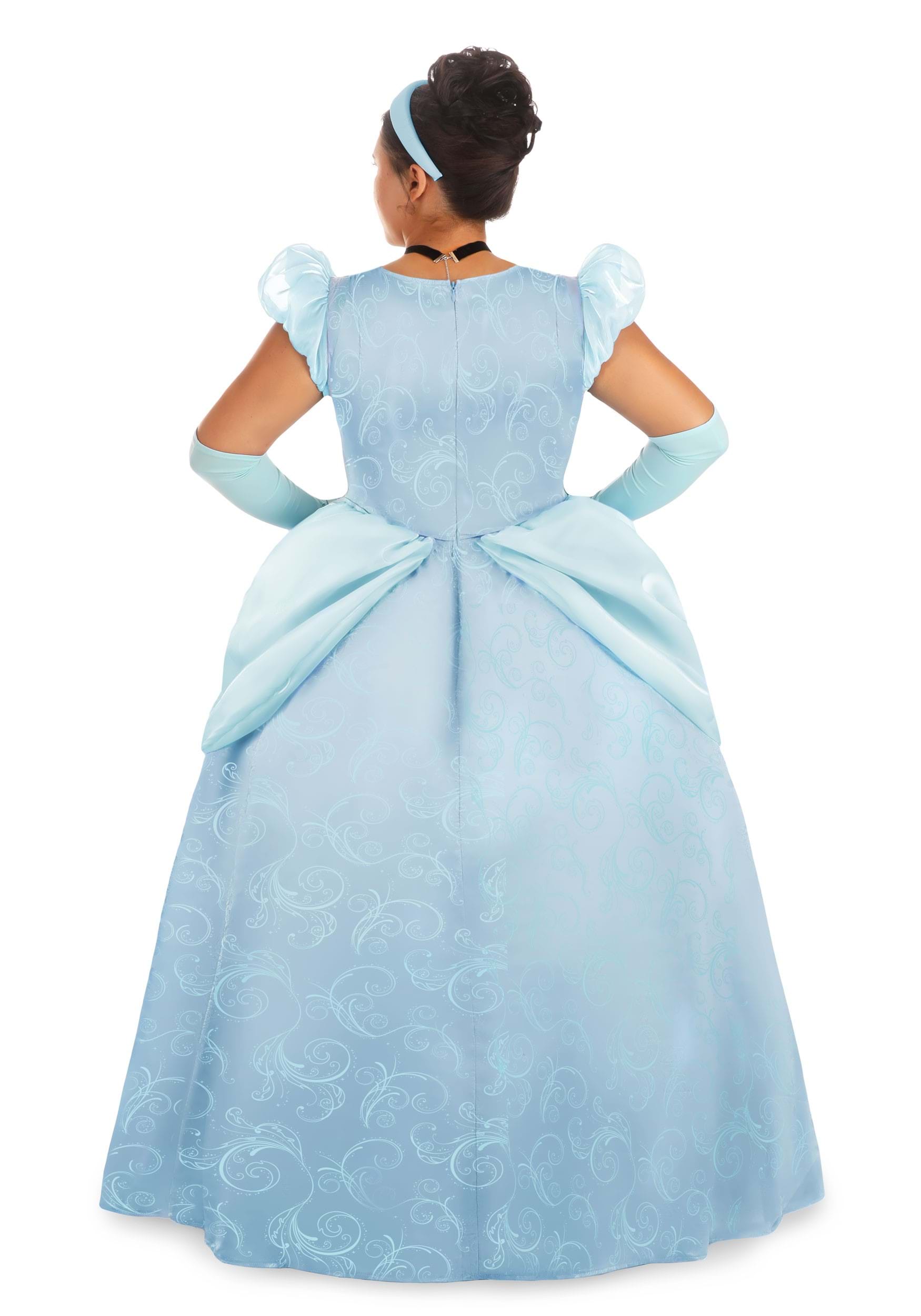Women's Plus Size Disney Premium Cinderella Costume Dress