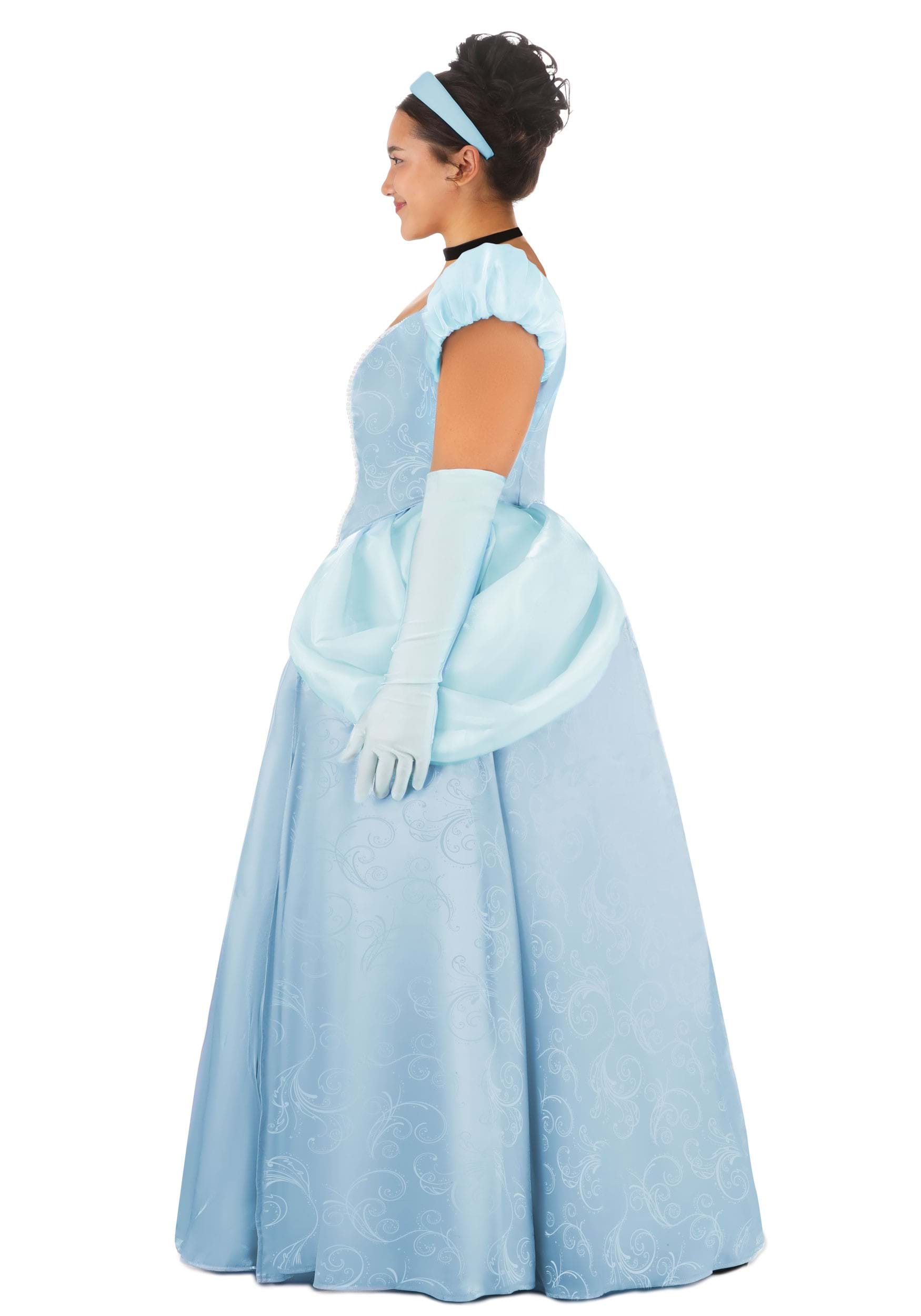 Women's Plus Size Disney Premium Cinderella Costume Dress