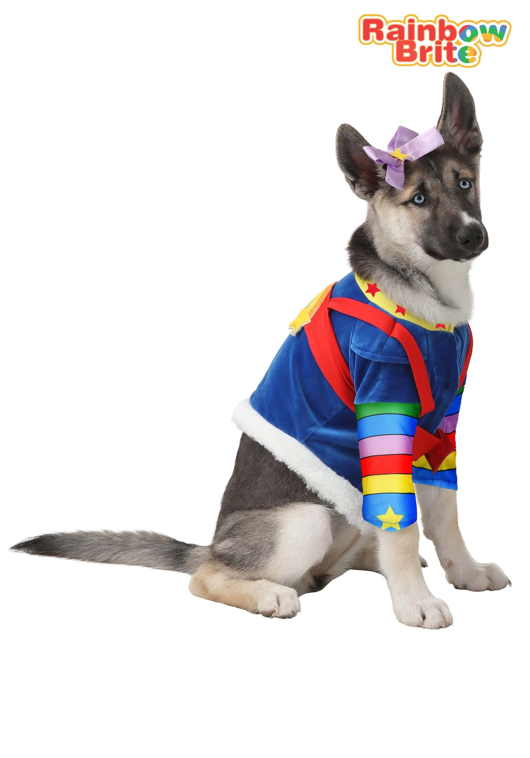 Rainbow Brite Pet Dog Costume