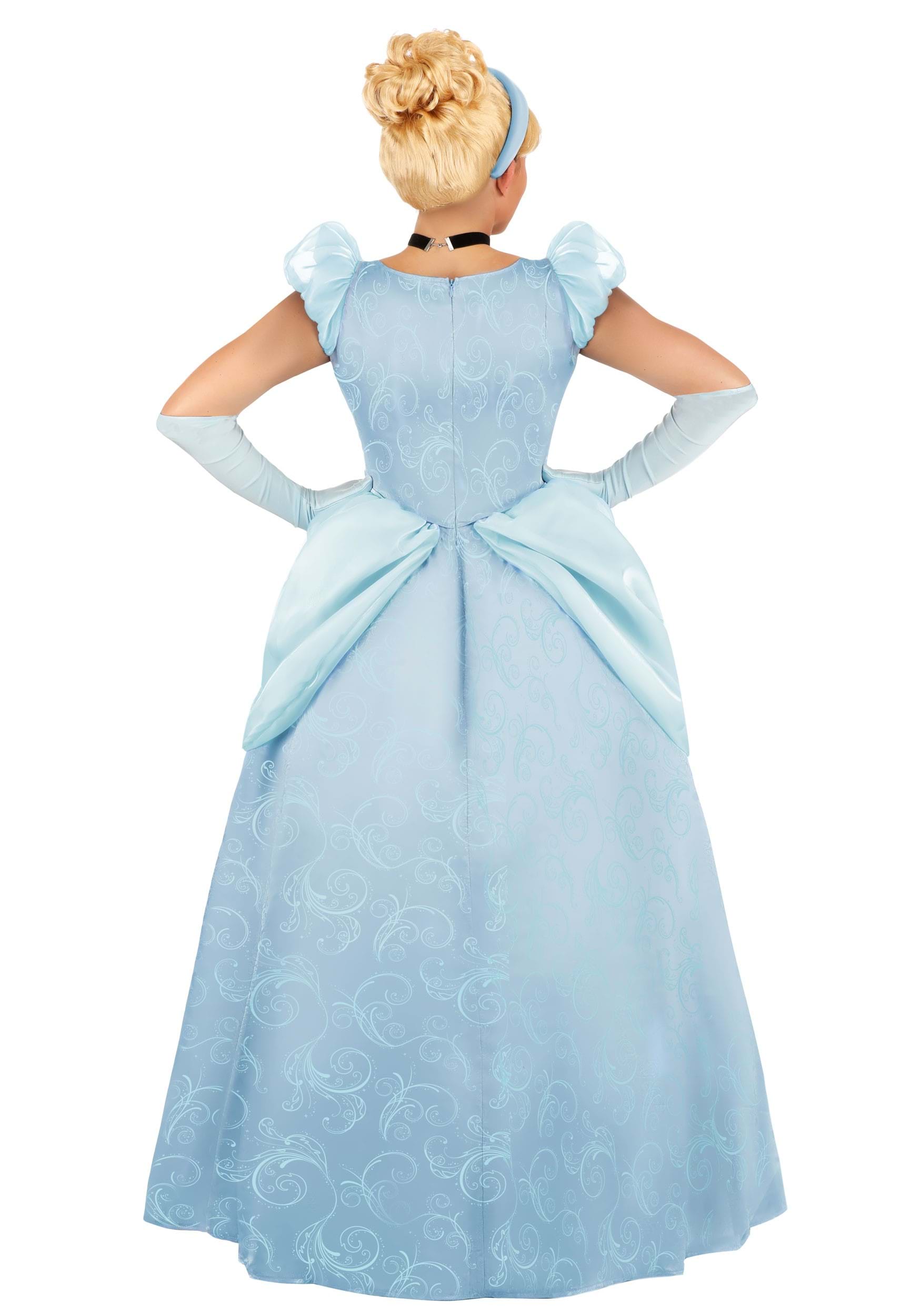 Women's Disney Premium Cinderella Costume Dress