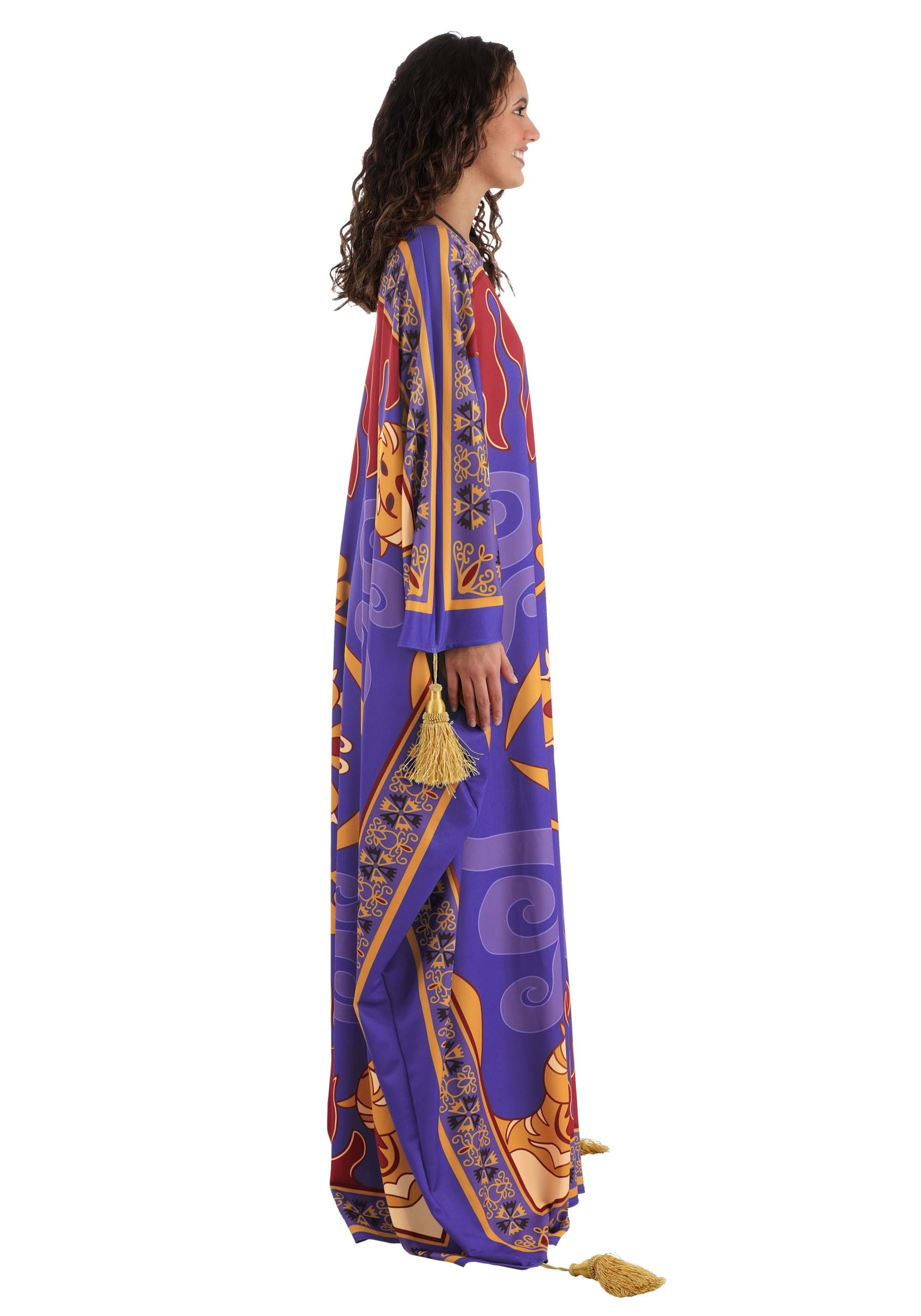 Adult Aladdin Magic Carpet Costume